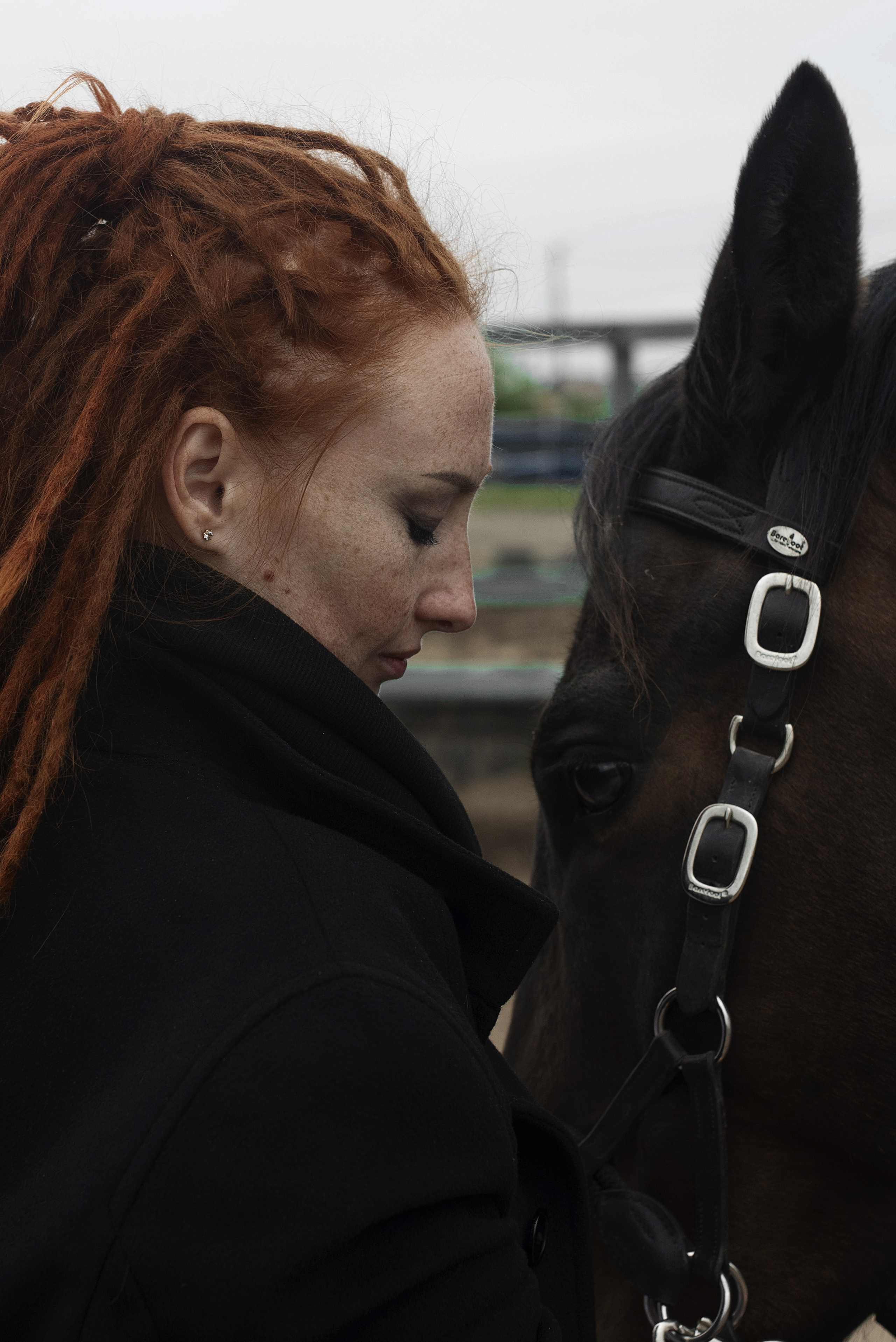 Девушка с лошадью