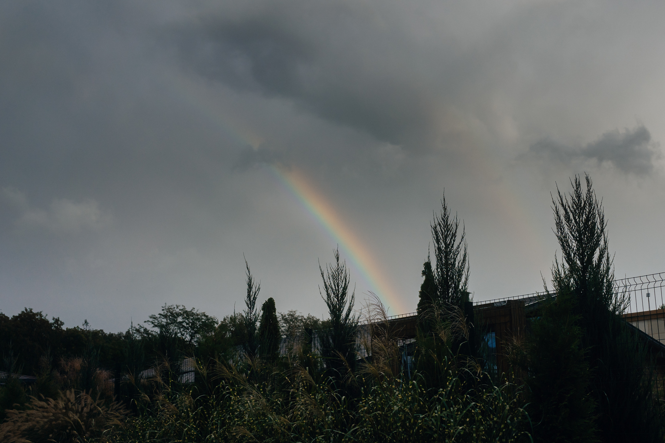 Яна & Никита. Главная