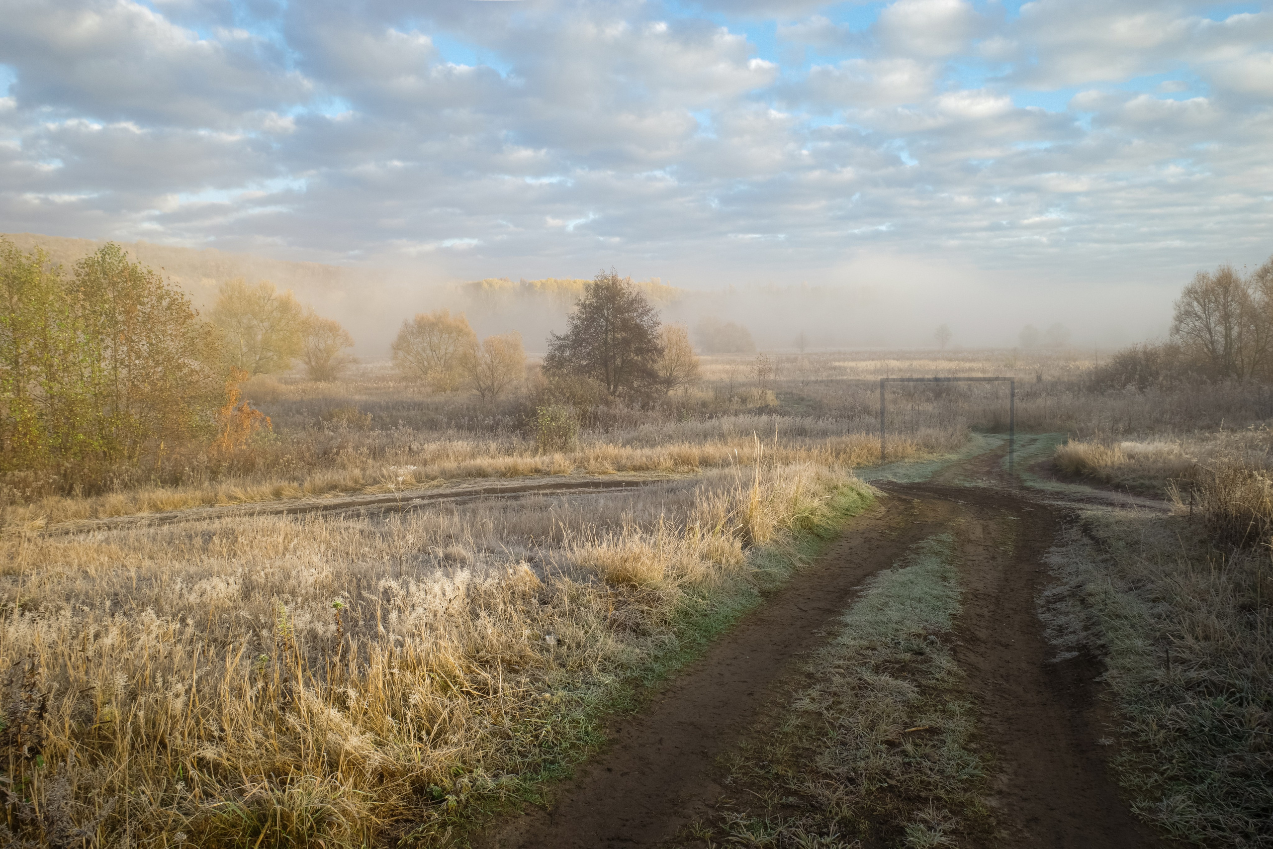 О границах реального. Междисциплинарный художник Екатерина Старовойтова