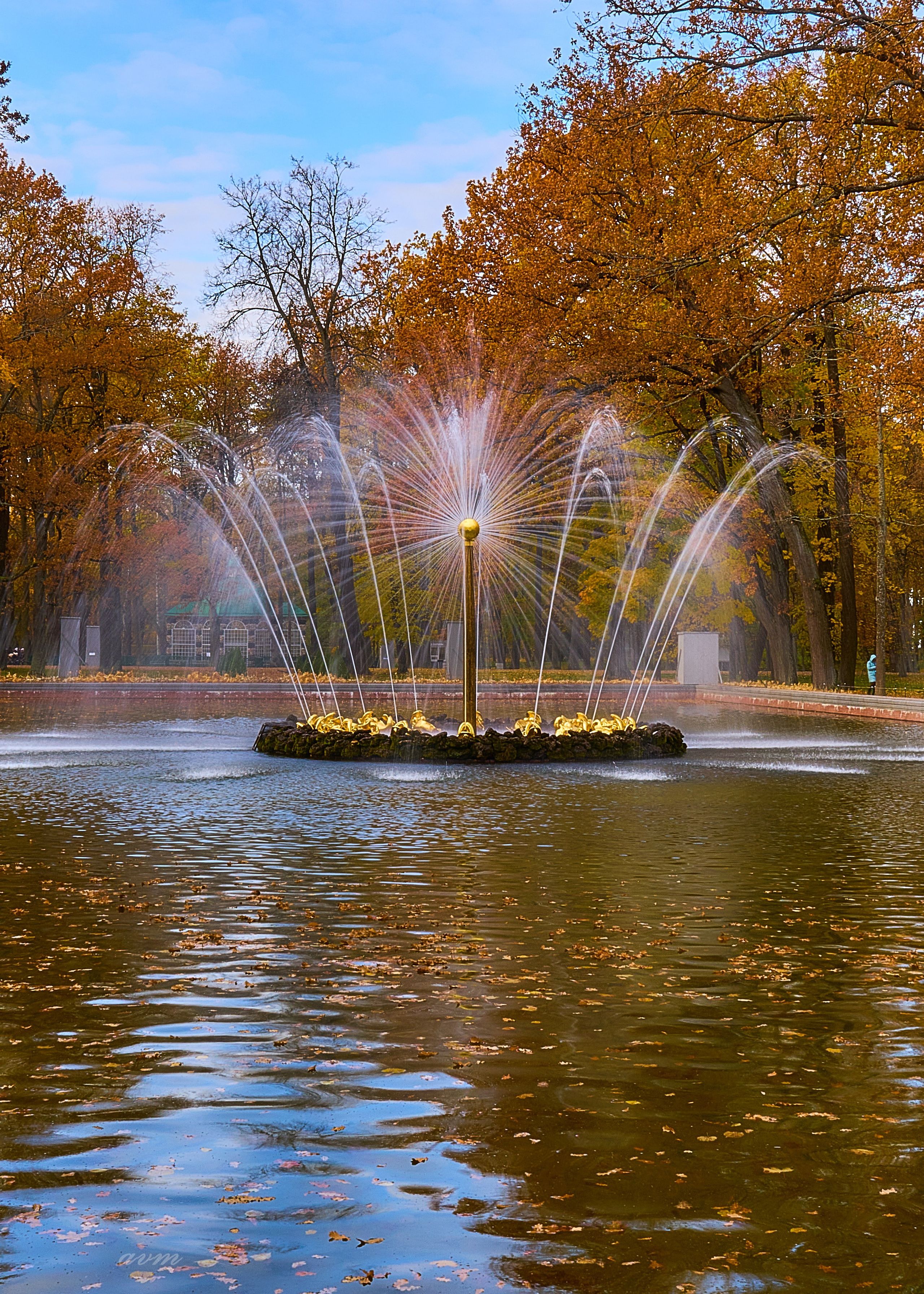 Петергоф. Фотограф Михеев Андрей