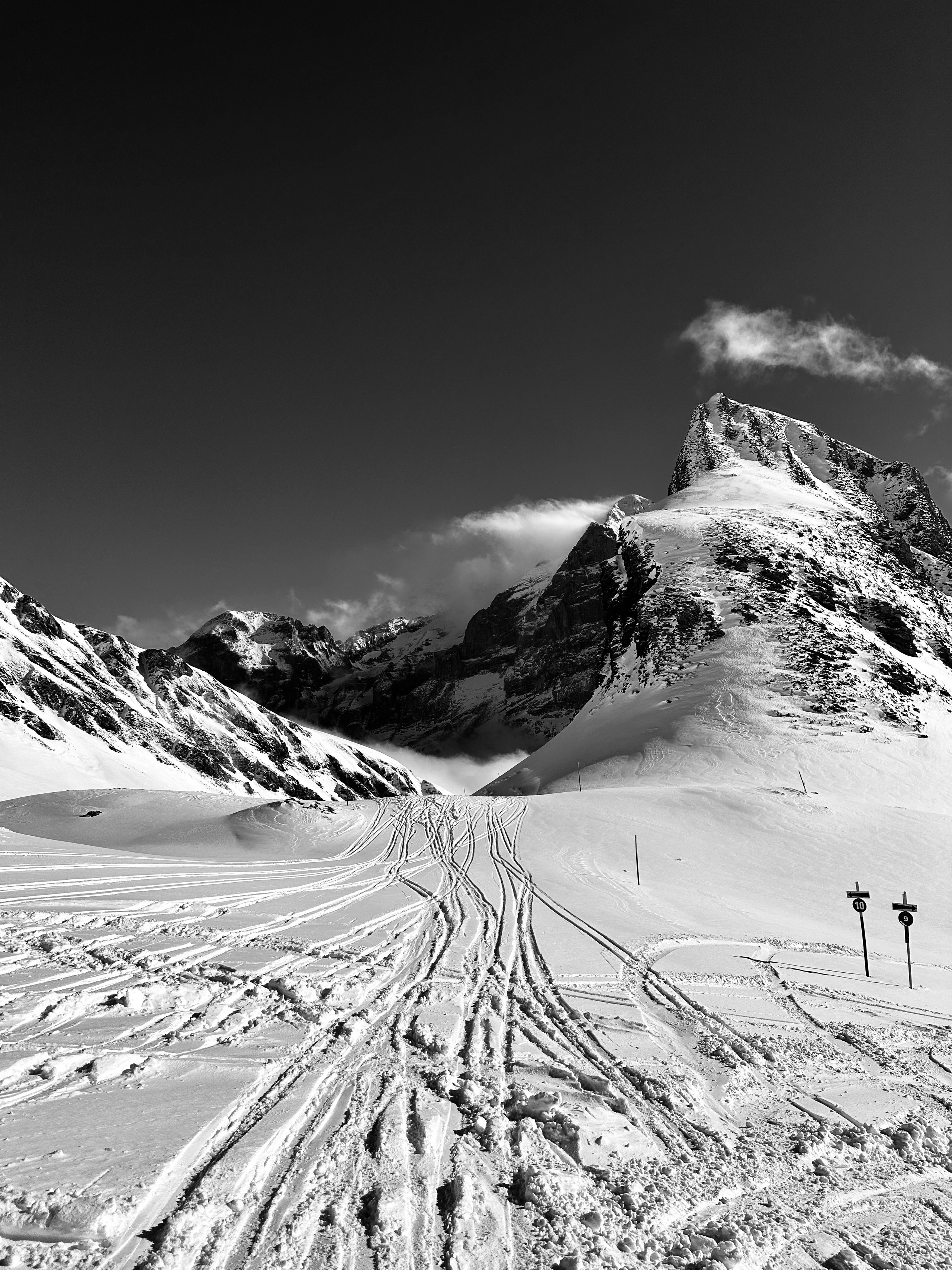 Grindelwald. Фотограф в Москве