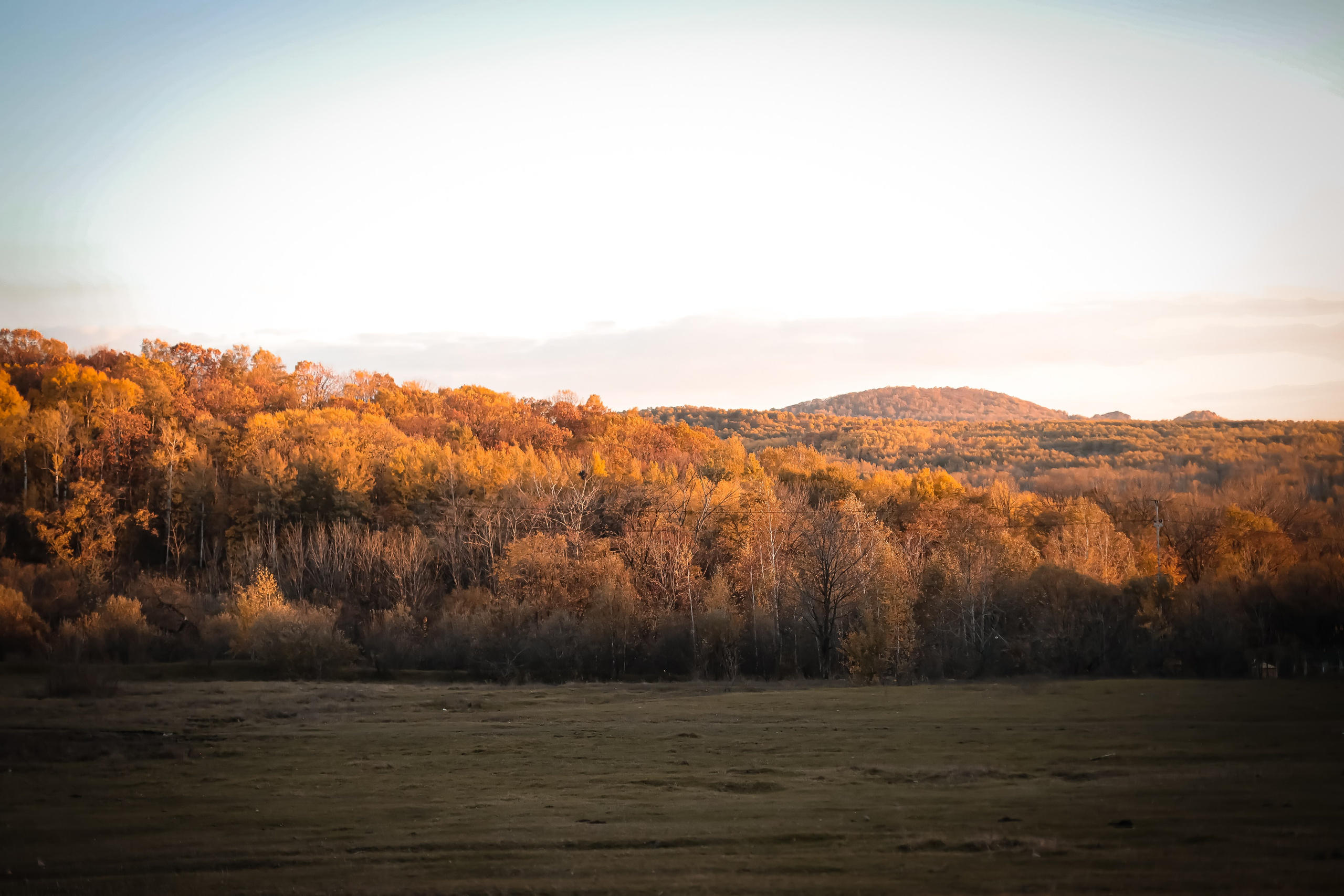 Елены и Антона. Фотограф г. Хабаровск. Семейные и индивидуальные съёмки