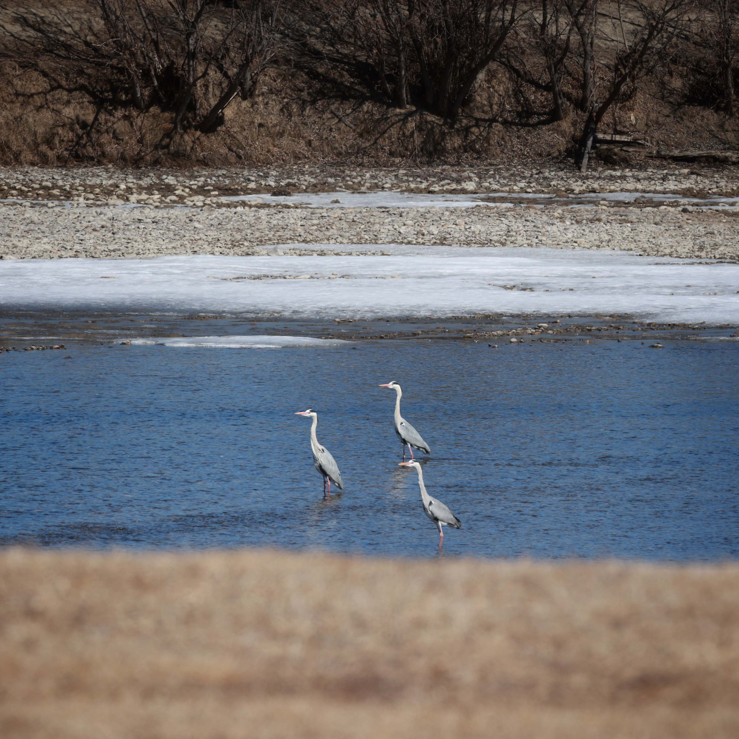 2024. Тащилин Сергей. Фотографии. Жизнь. Хобби