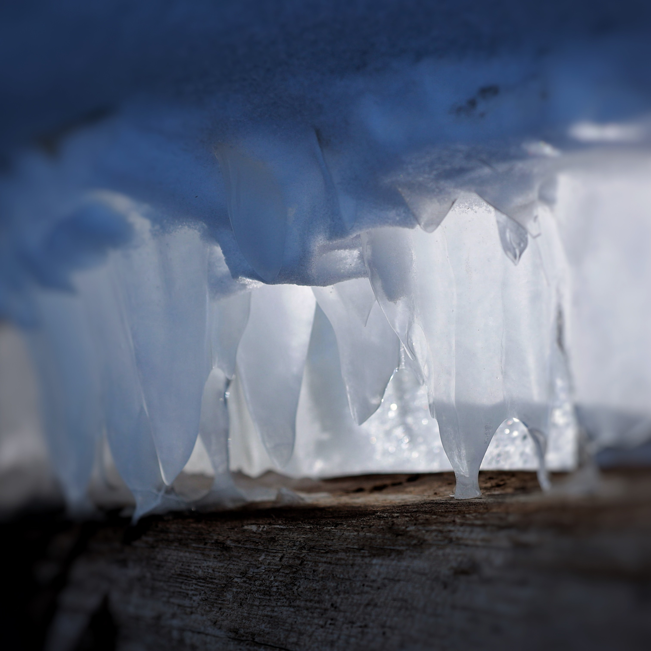 2022. Тащилин Сергей. Фотографии. Жизнь. Хобби