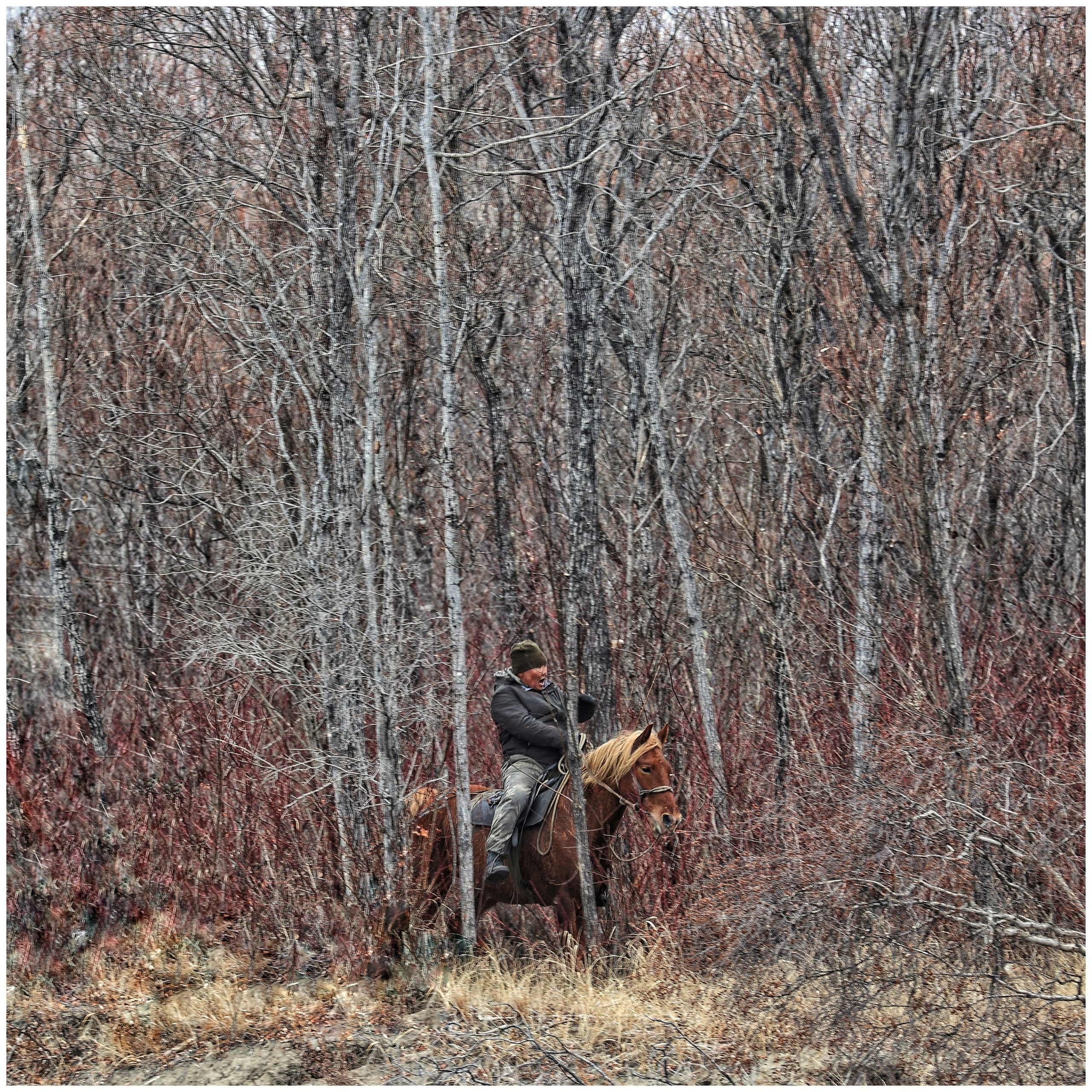 2022. Тащилин Сергей. Фотографии. Жизнь. Хобби