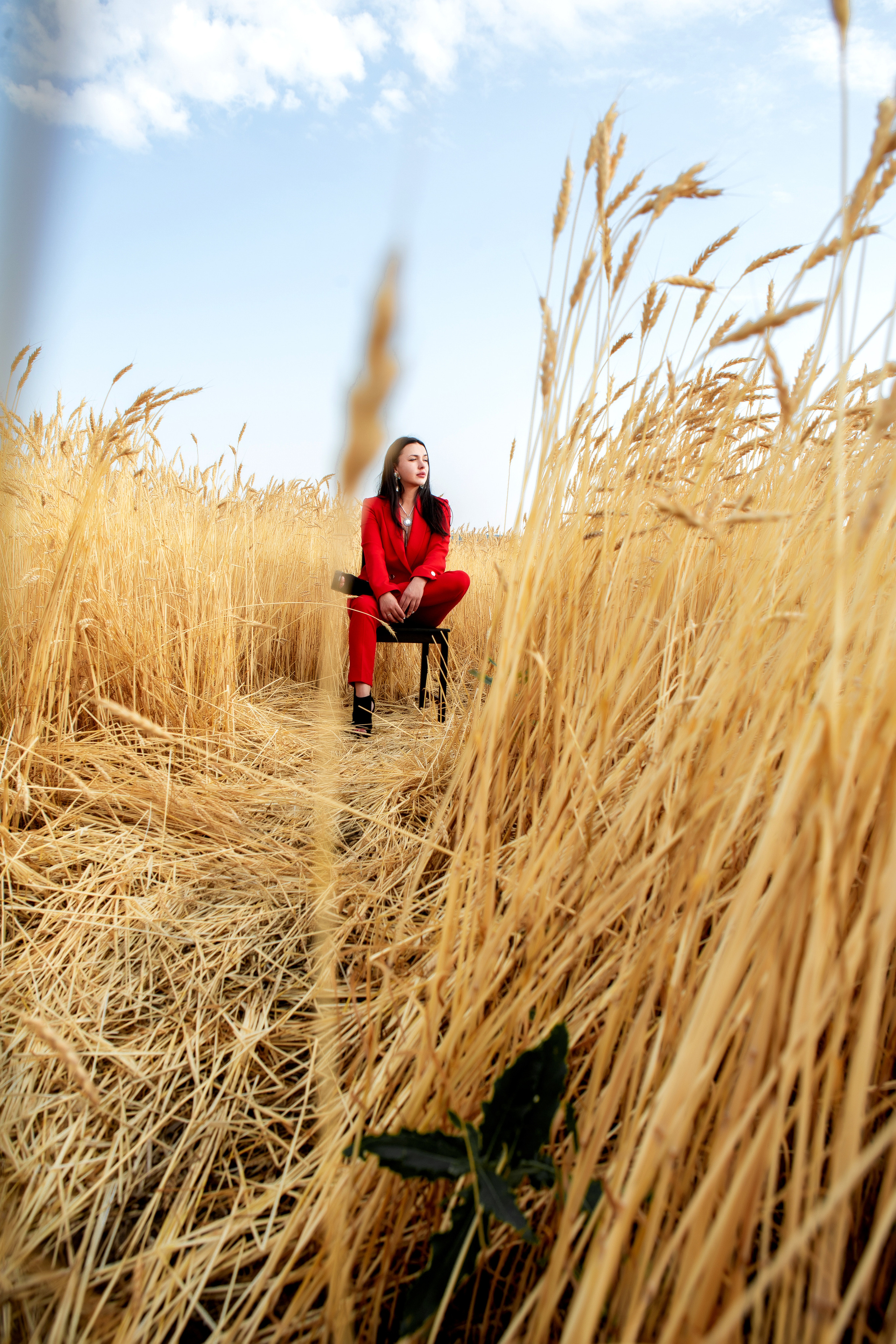 Красная пшеница. Фотограф Екатерина Голицына