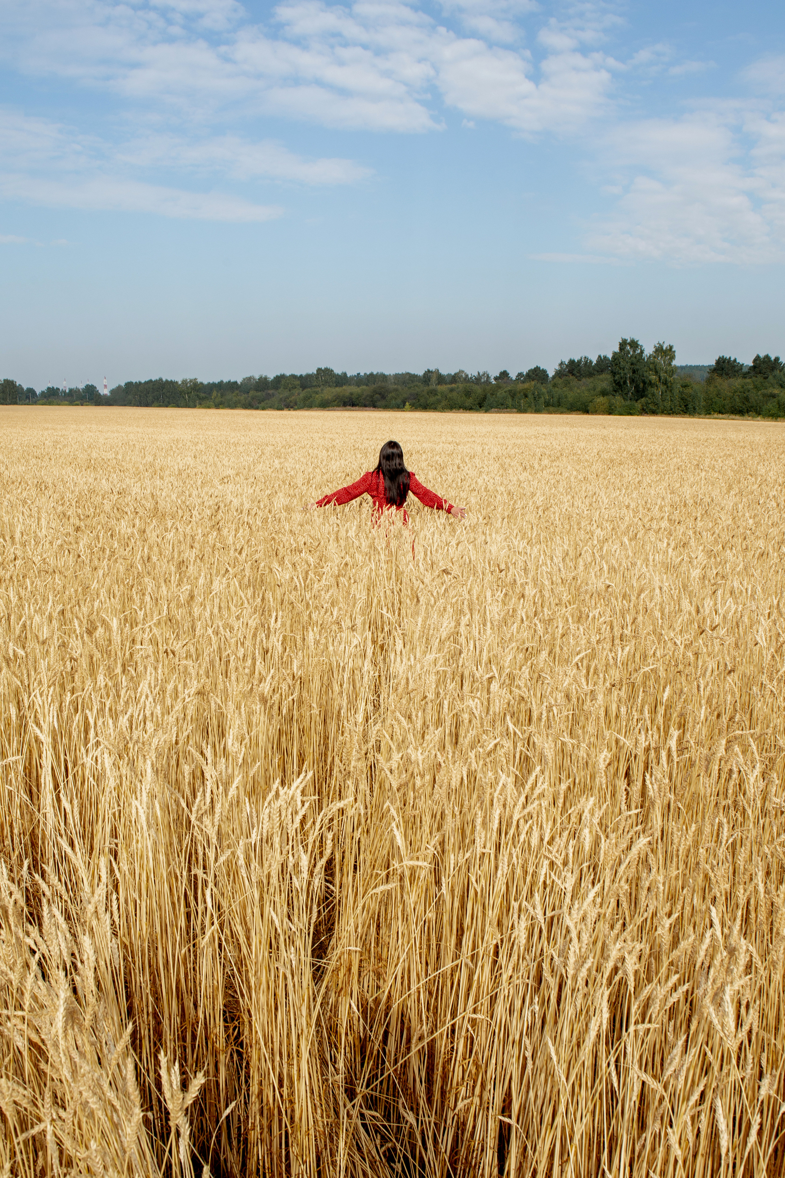 Красная пшеница. Фотограф Екатерина Голицына
