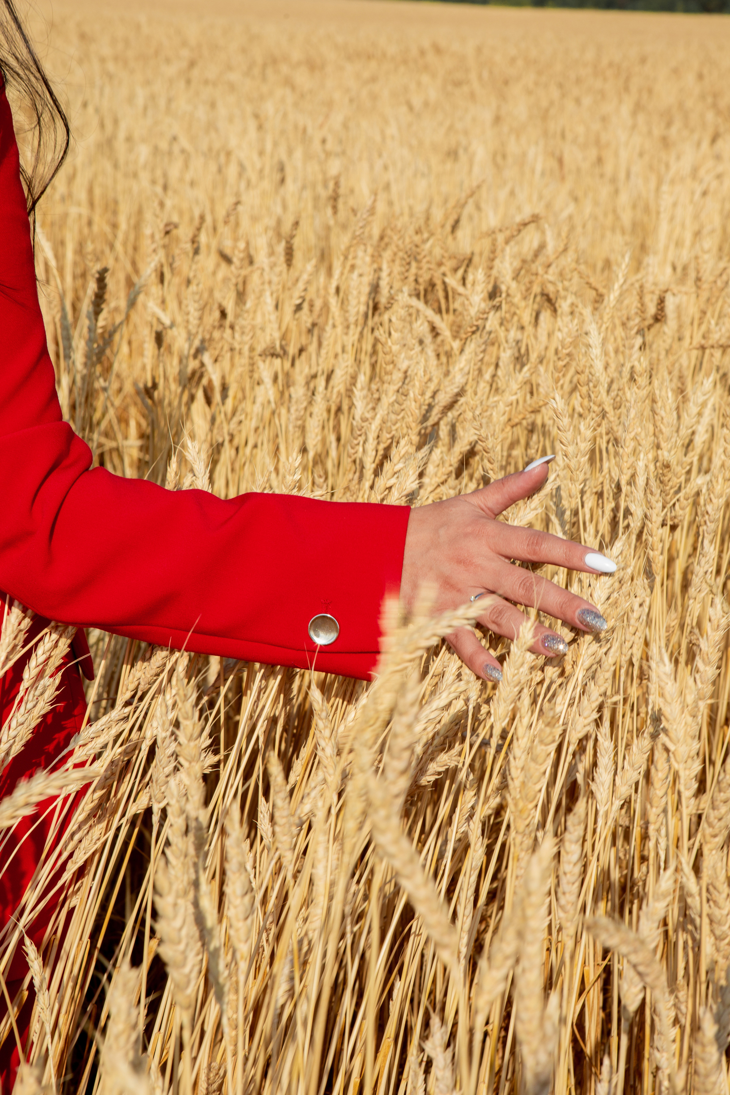 Красная пшеница. Фотограф Екатерина Голицына