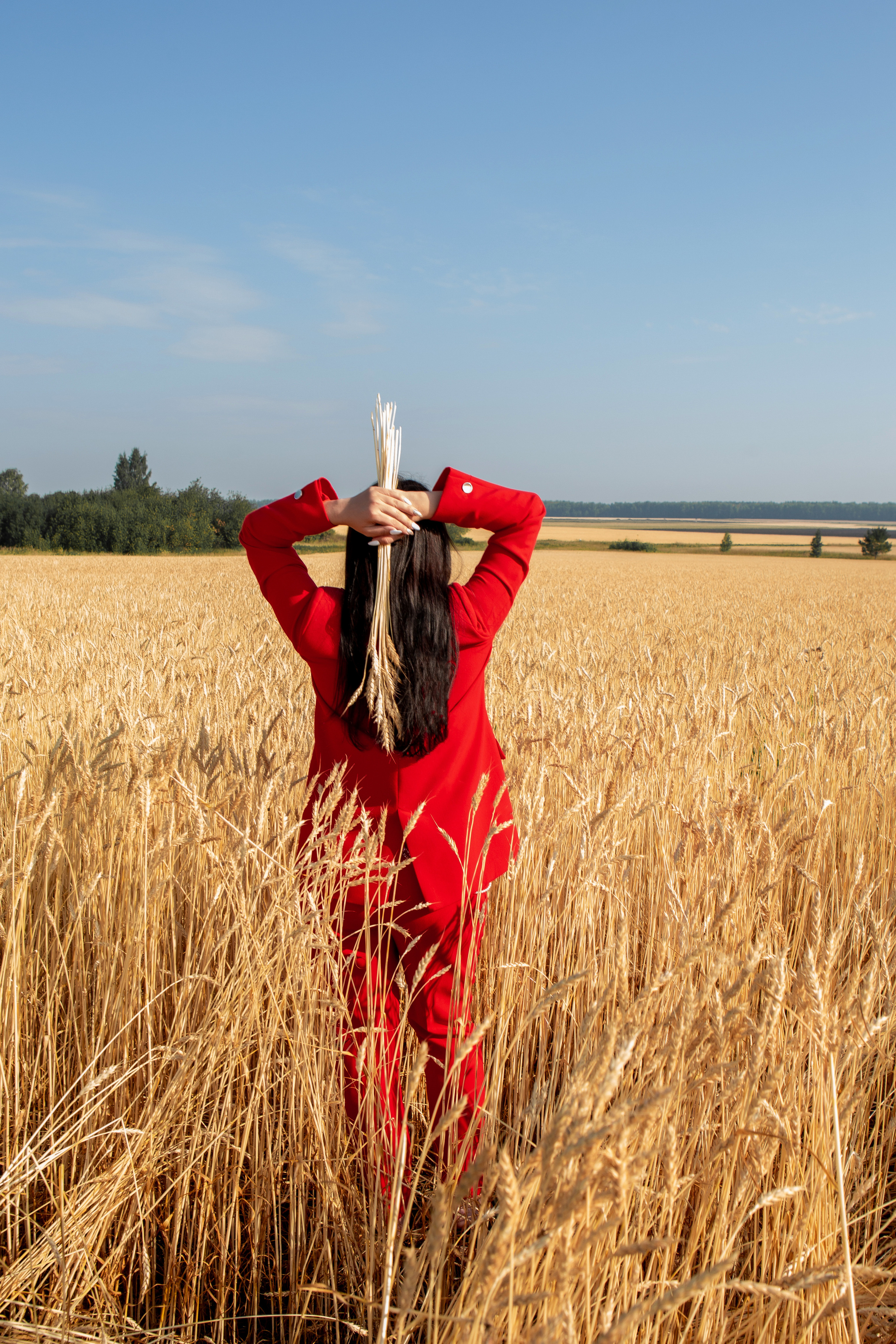 Красная пшеница. Фотограф Екатерина Голицына