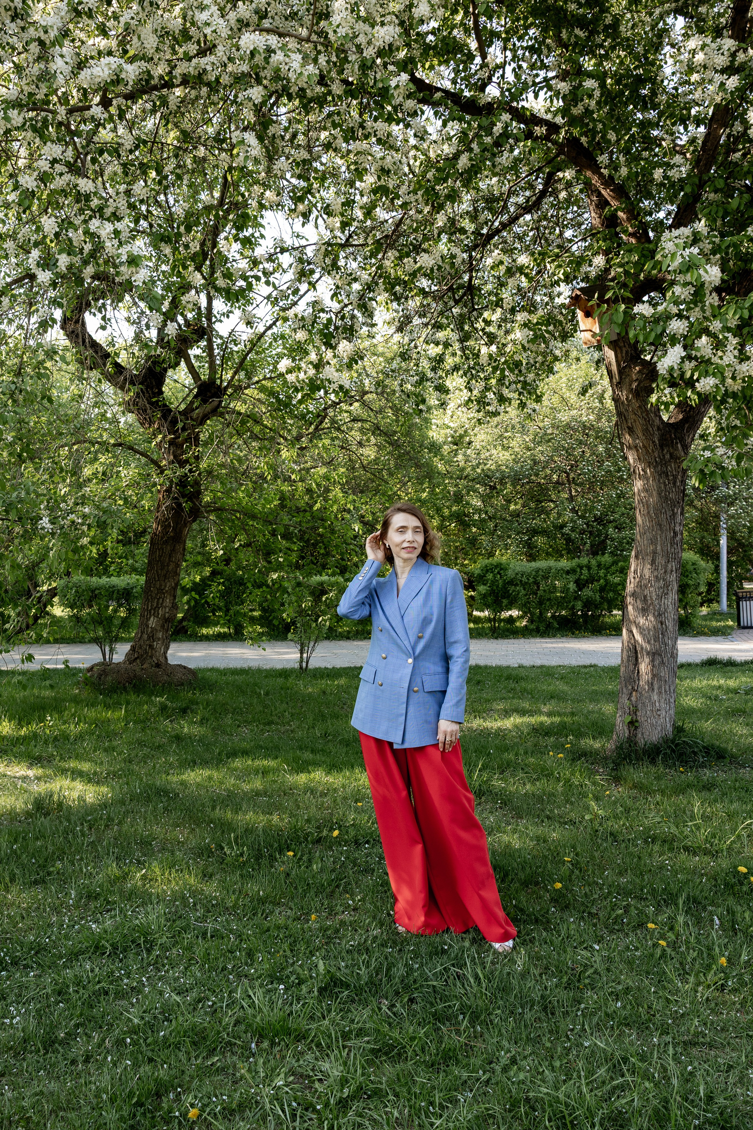 Яблоня. Фотограф Екатерина Голицына