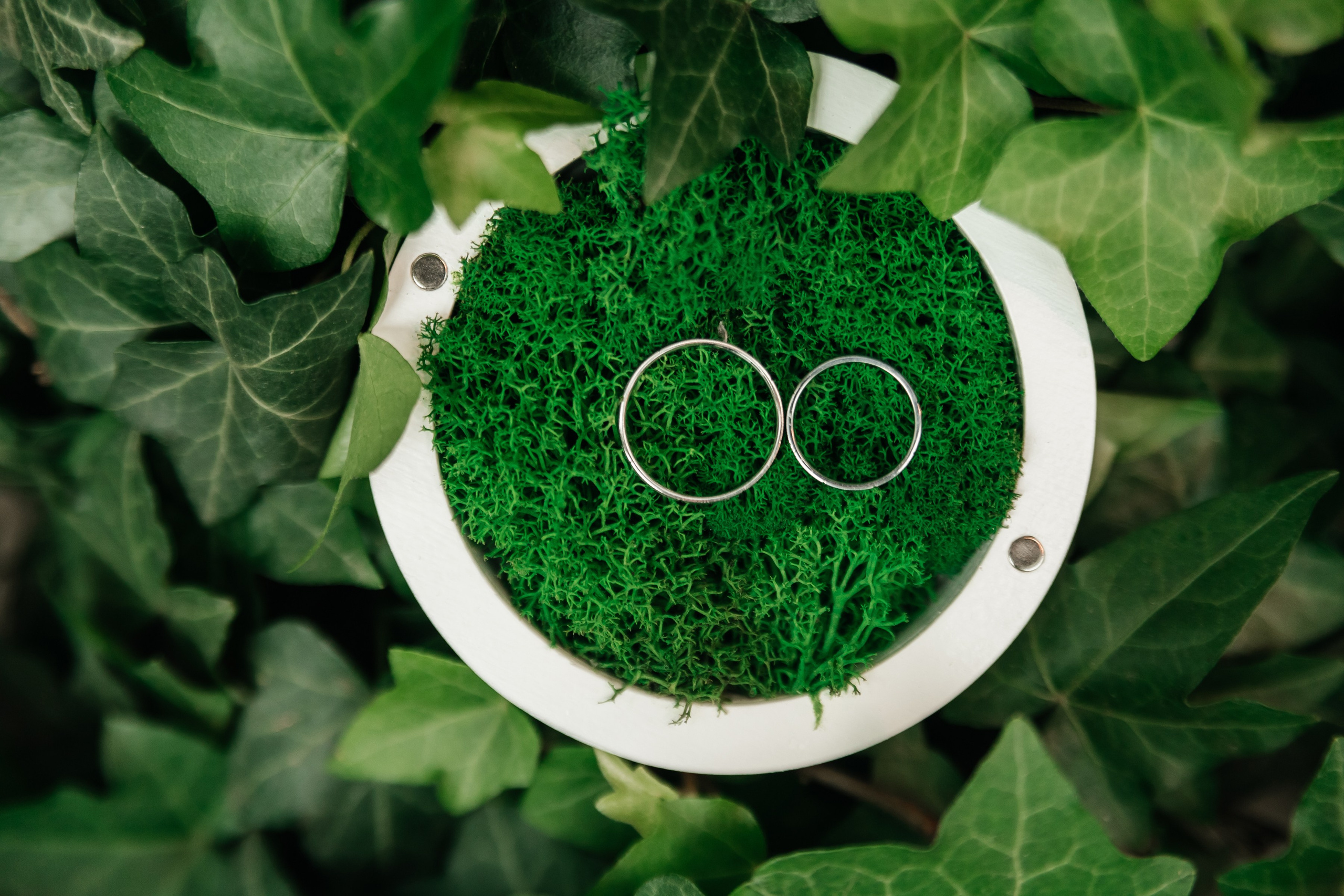 Андрей и Елена. Семейный фотограф, свадебный фотограф, женский портрет в Санкт-Петербу