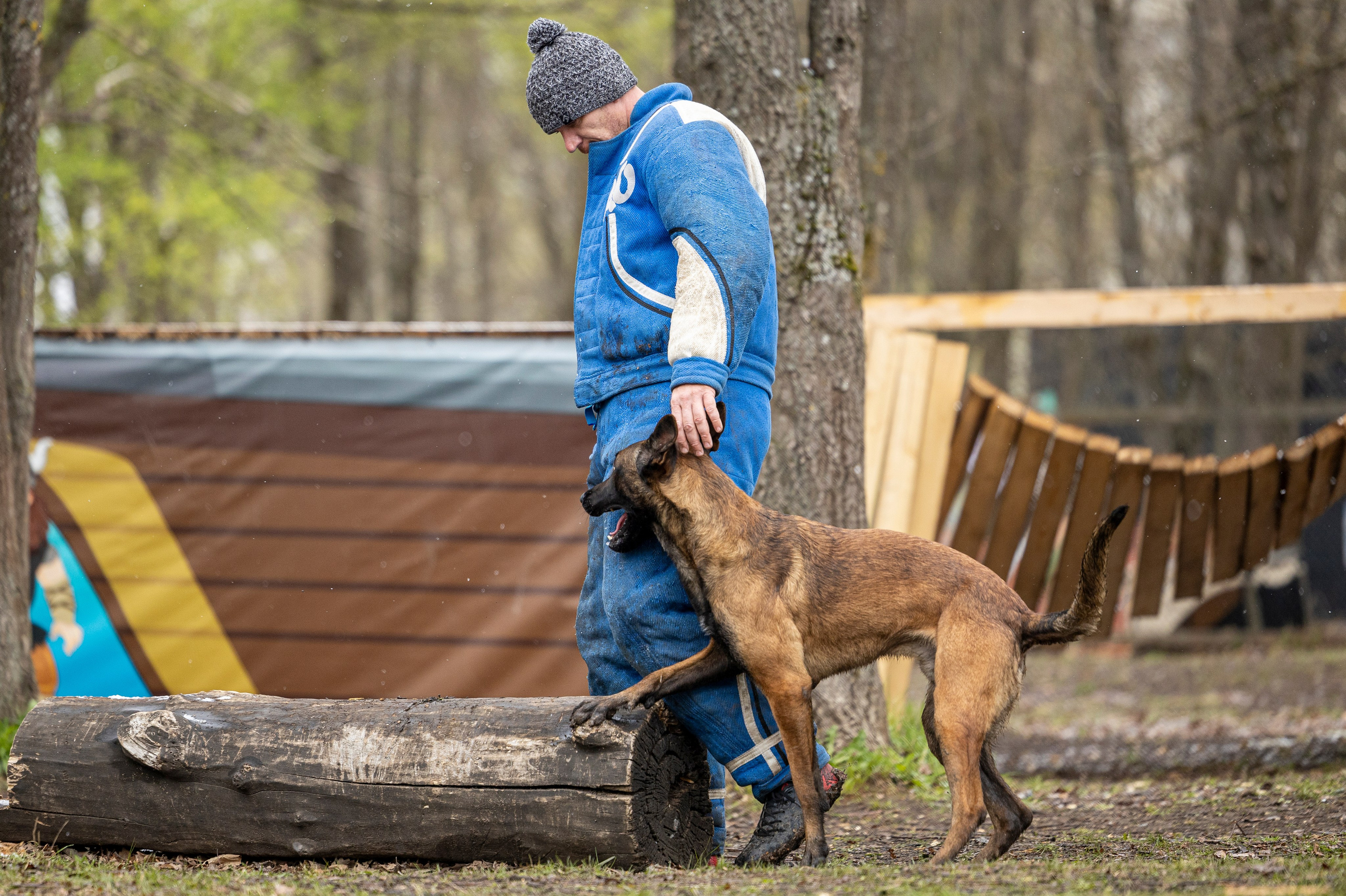 Квалификационные состязания по мондьорингу г. Вологда 11.05.24. Фотограф-анималист Анна Маринич