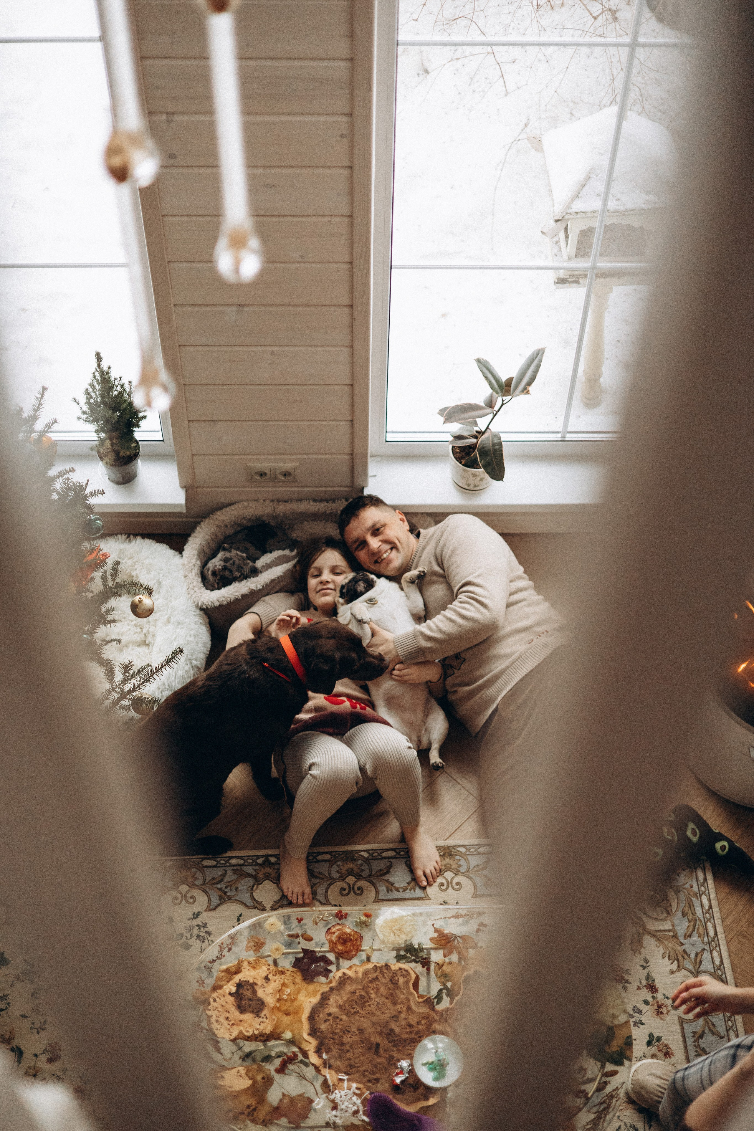 Семейная для Ксюши. Фотограф — Анималист | Санкт-Петербург