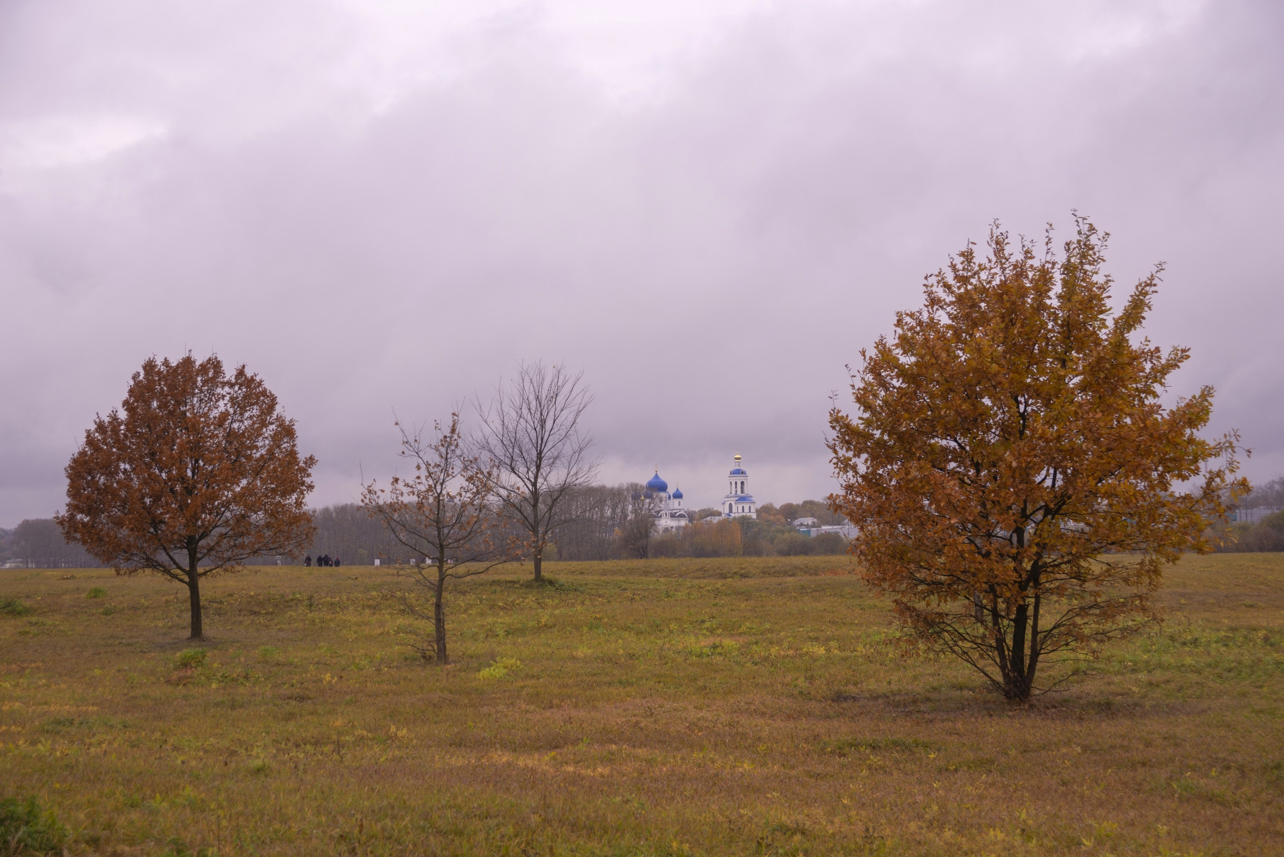 Боголюбово. Октябрь 2023. Игорь Жучков. Россия увиденная глазами путешествующего фотографа