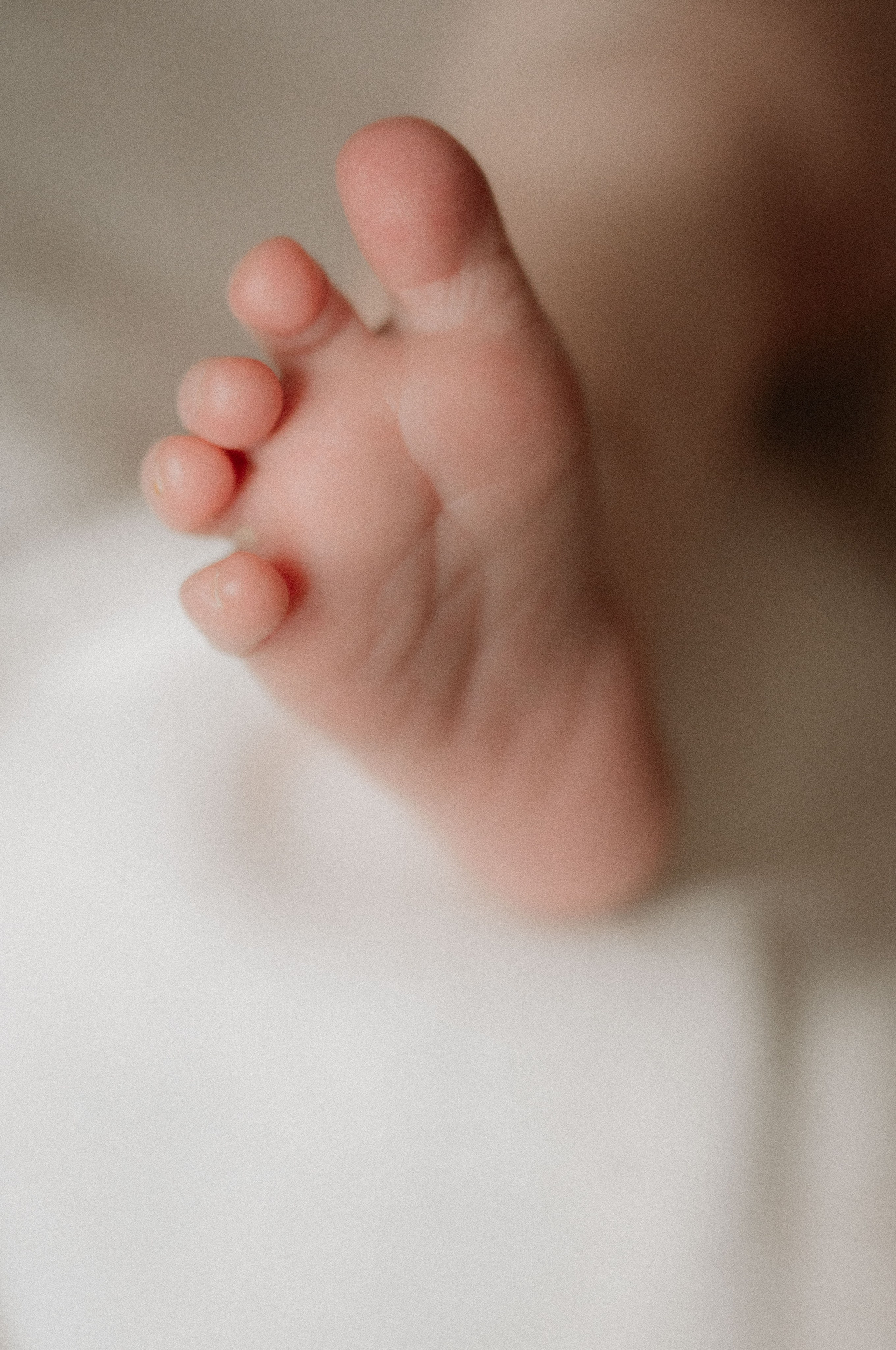 Лизавета, Никита и Мирослава. Фотограф беременности и семьи, домашние съемки, Ньюборн