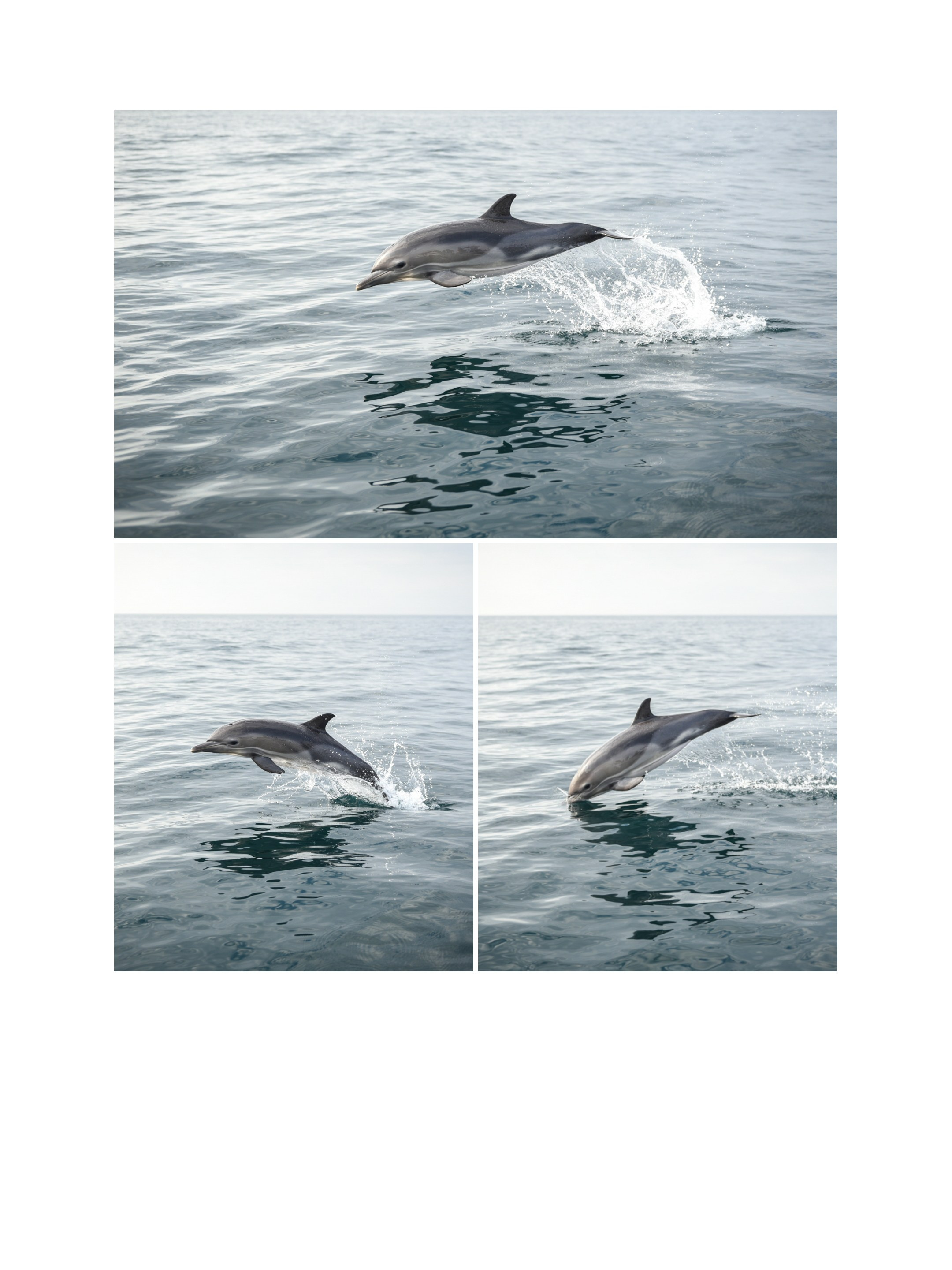 Delfa. Anastasia Serdyuk, travel photographer, travel photo, portraits, stories, fineart prints