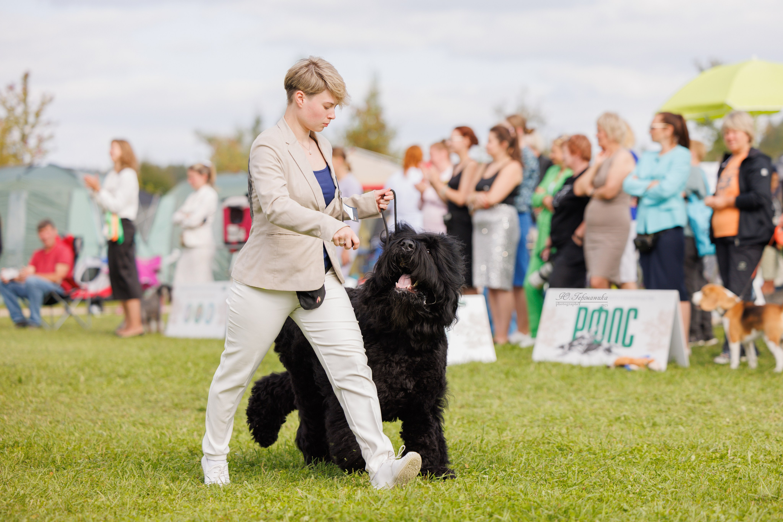 Переславль 5-7.08.2025. Фотограф-анималист Юлия Германика