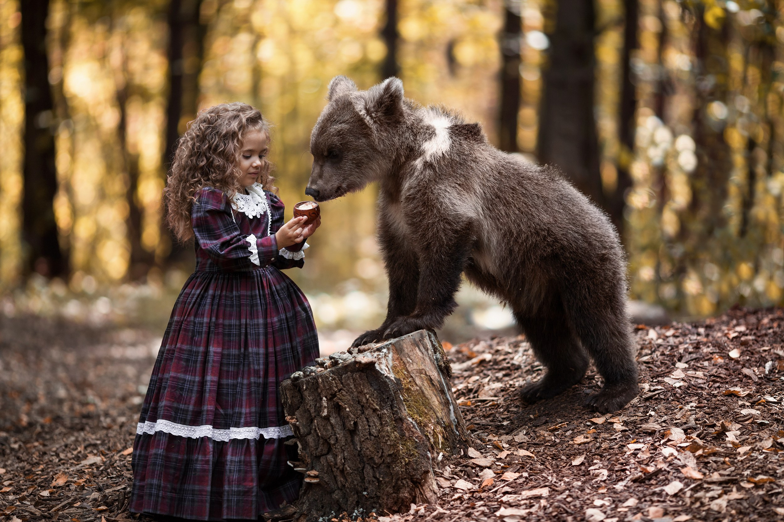 Тематическая фотосессия ребенка с медведем