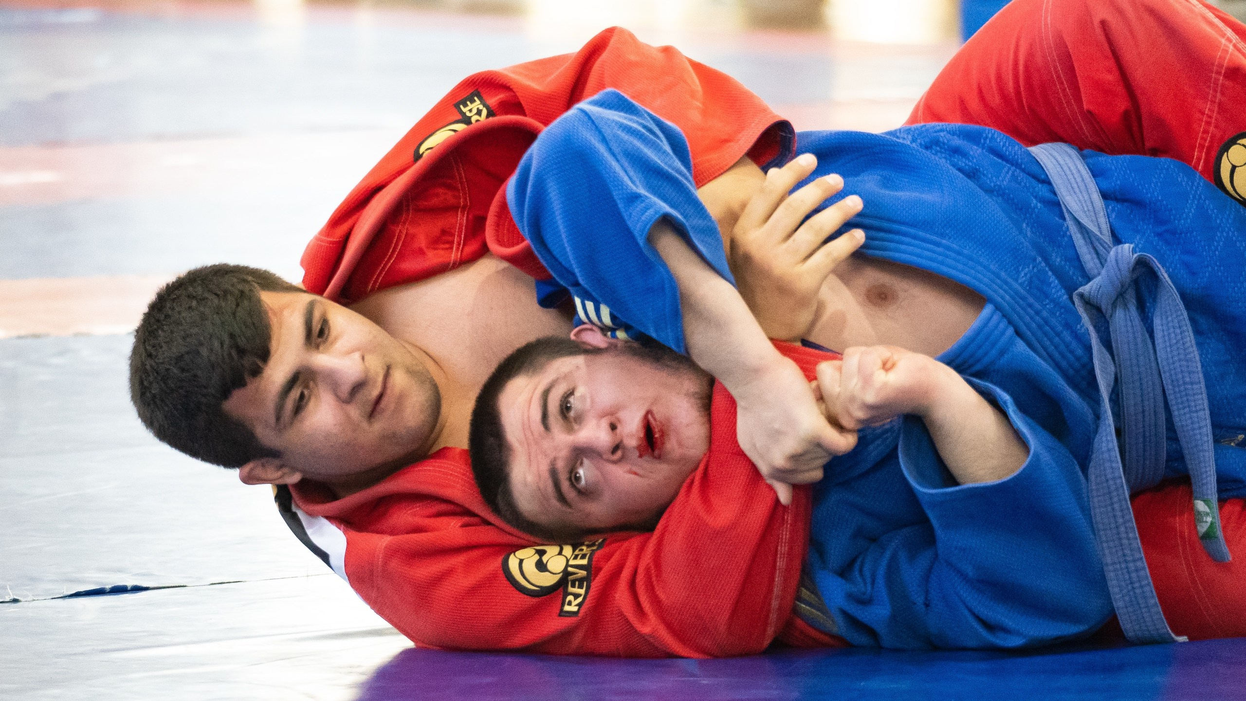 Чемпионат России по грэпплингу среди студентов 2025. Фотограф и видеооператор Екатерина Гнатюк