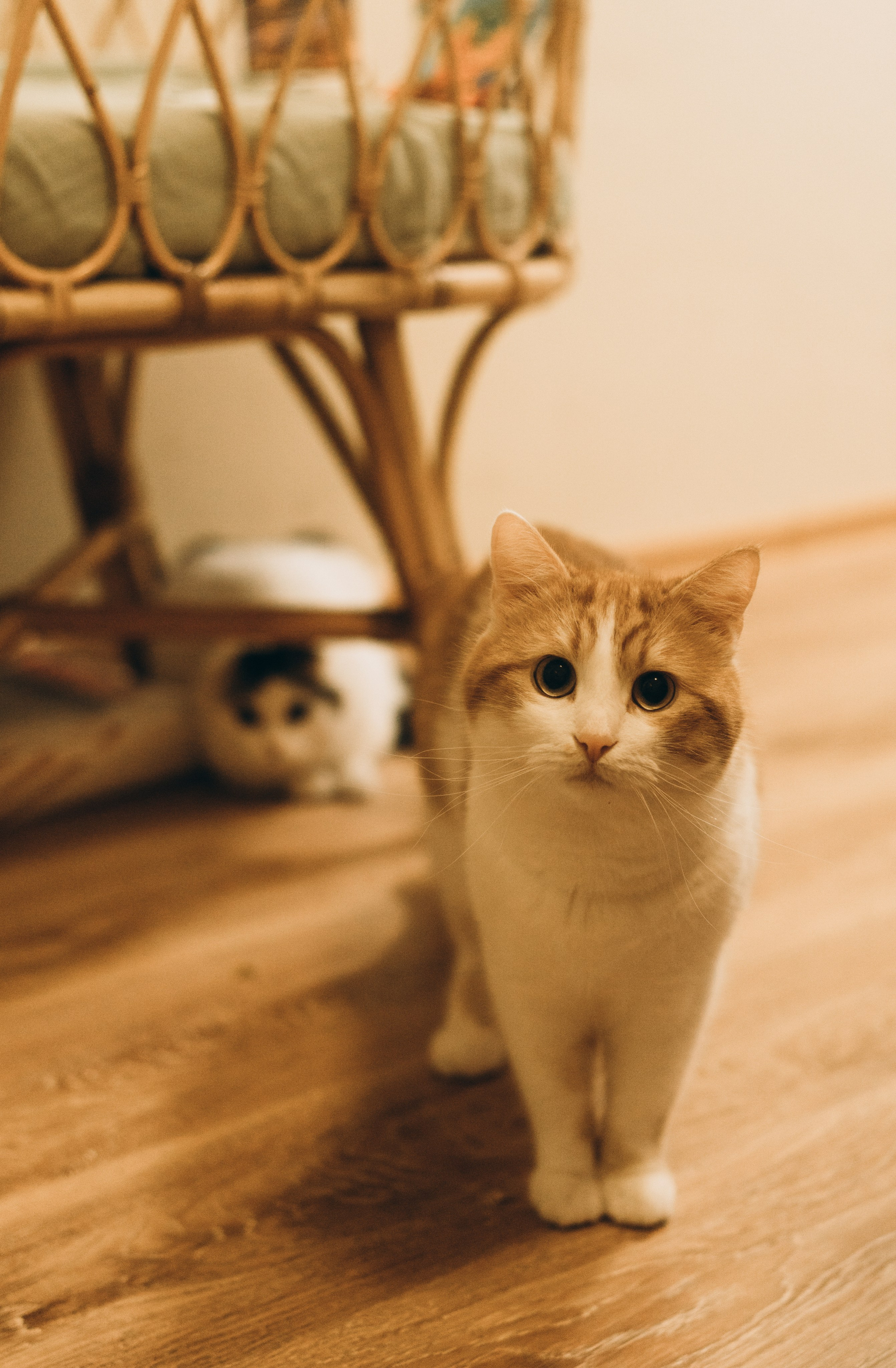 Таинство рождения. Семейный, ньюборн фотограф, фотограф на роды в Москве, Виктория Тюльдюкова