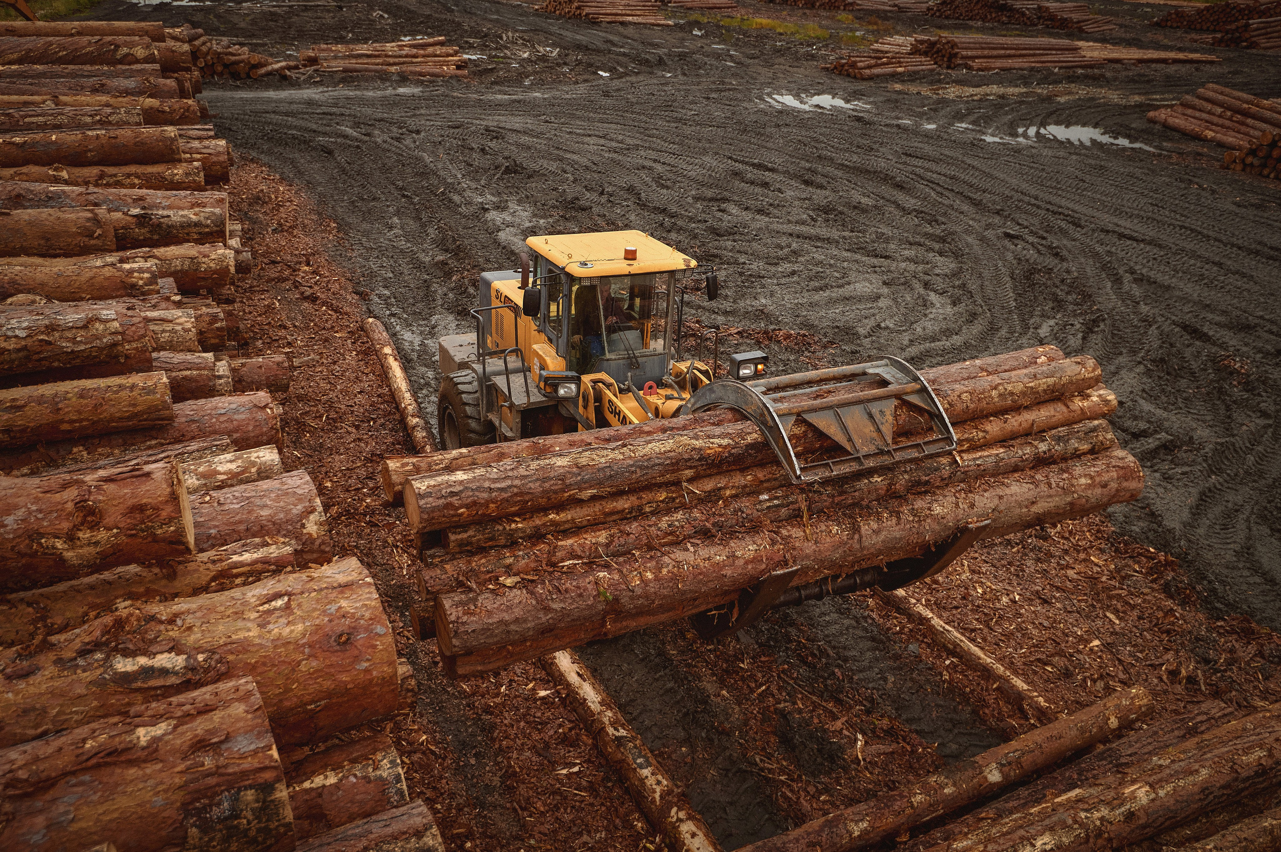 Лесозаготовка г. Мотыгино. Фотограф Яковлев Роман — Красноярск