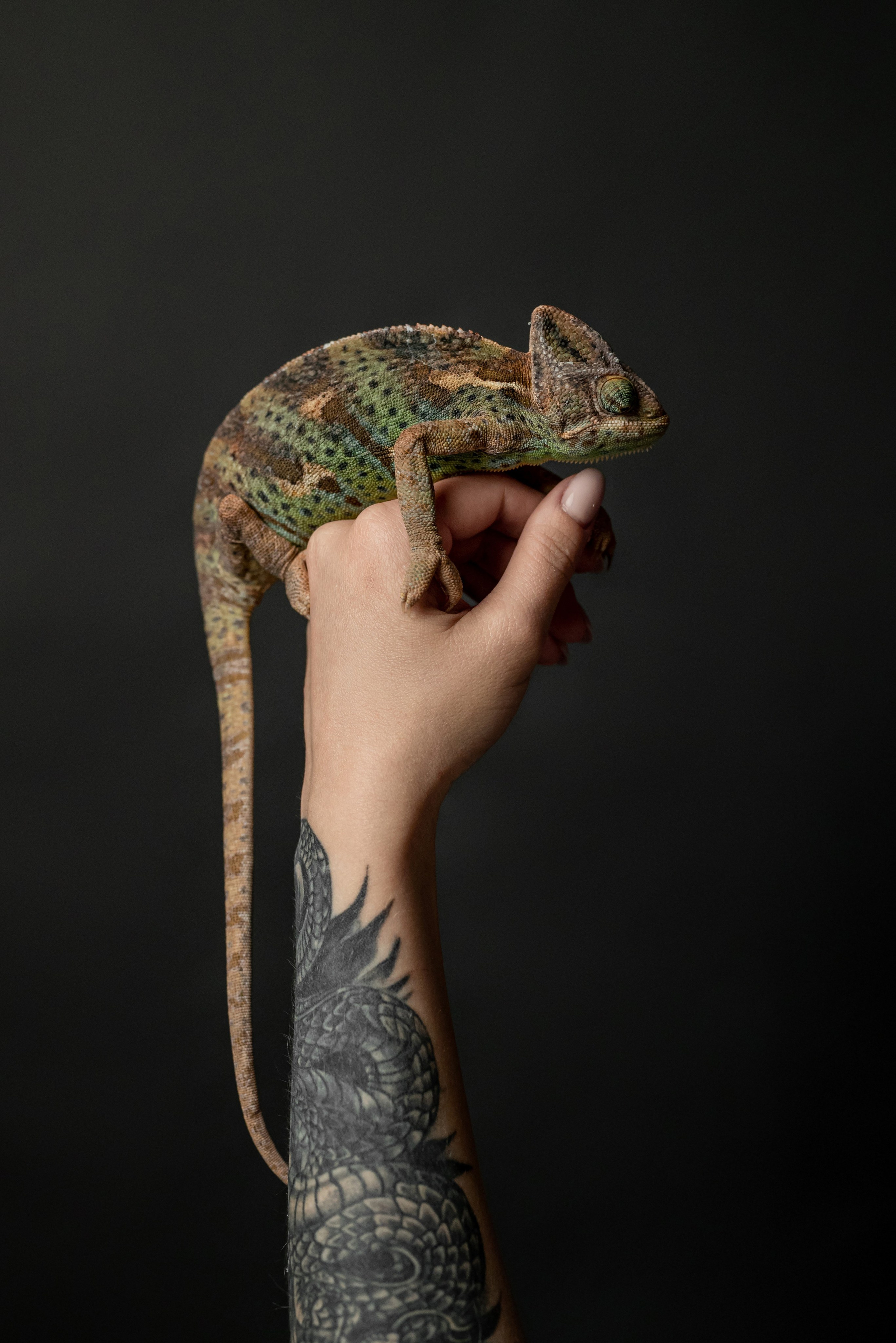 Кристина. Фотограф в городе Салават