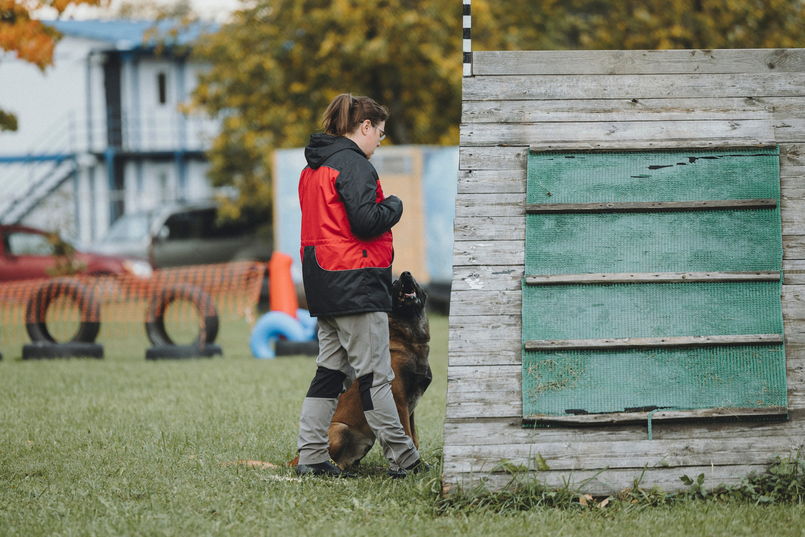 Испытания по мондьорингу г. Пушкин 29.09.2024. Фотограф-анималист Анна Маринич