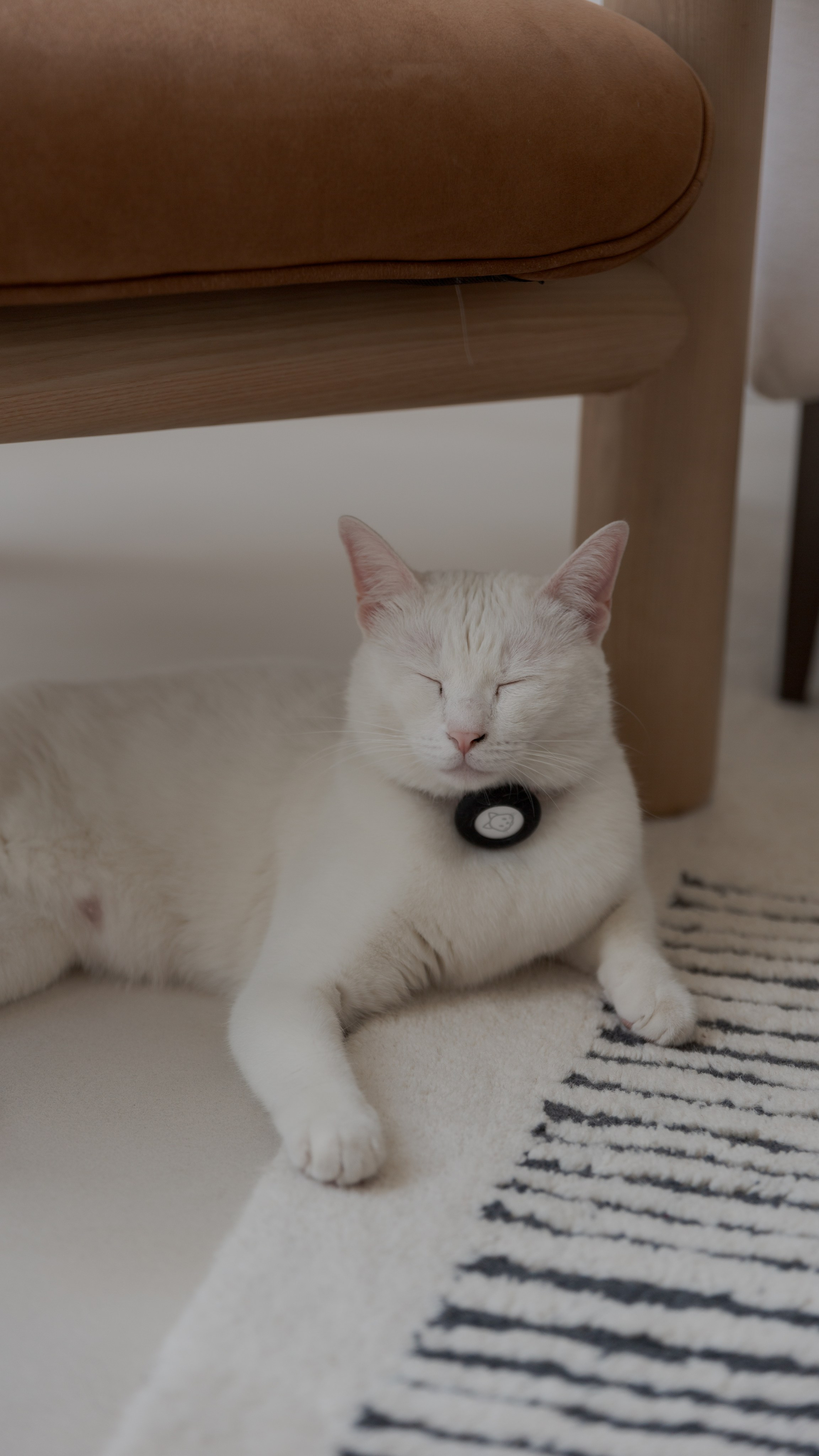 Twins Newborn Photoshoot Dubai | Cherish Moments