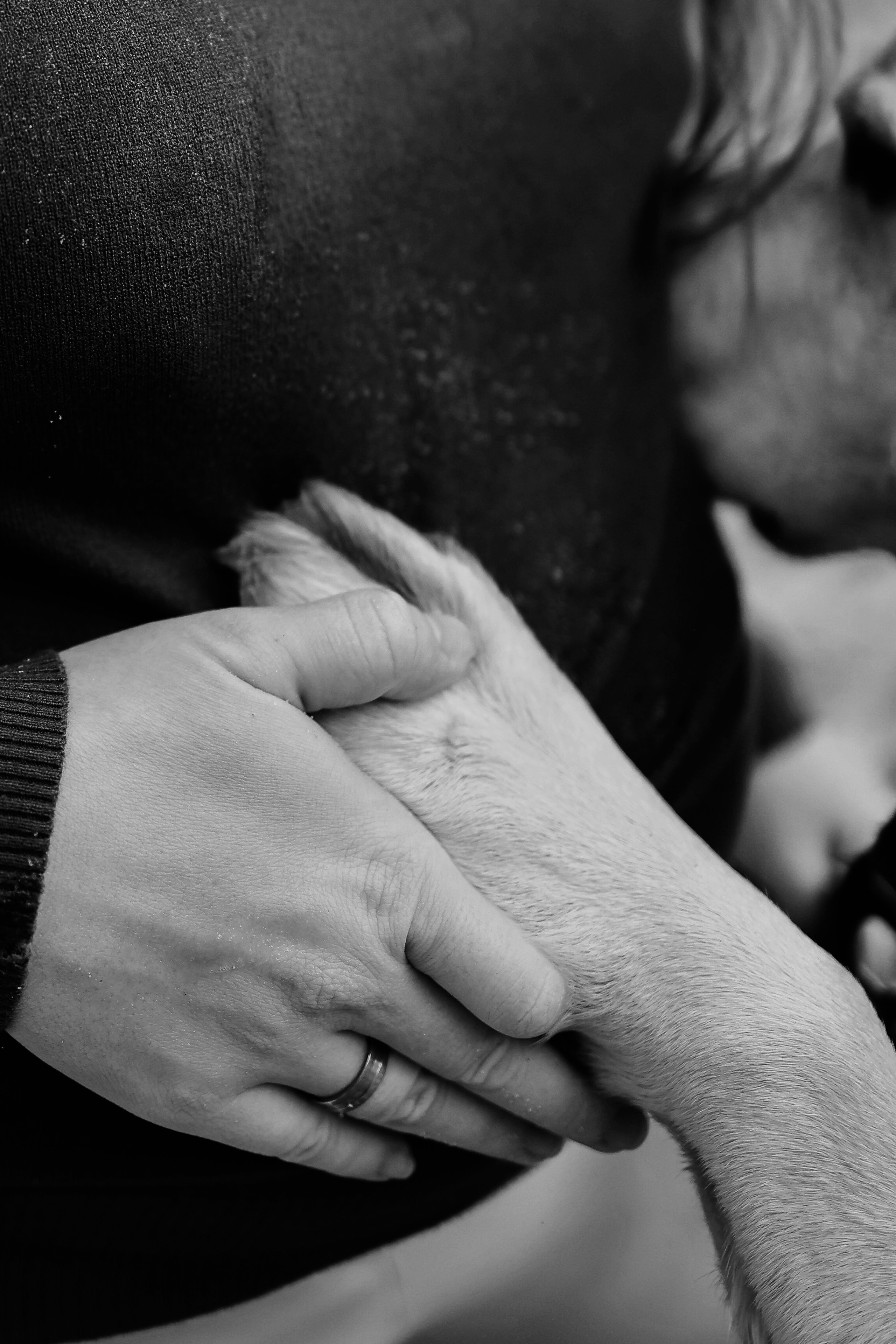 Беременность. Фотограф Юлия Говор