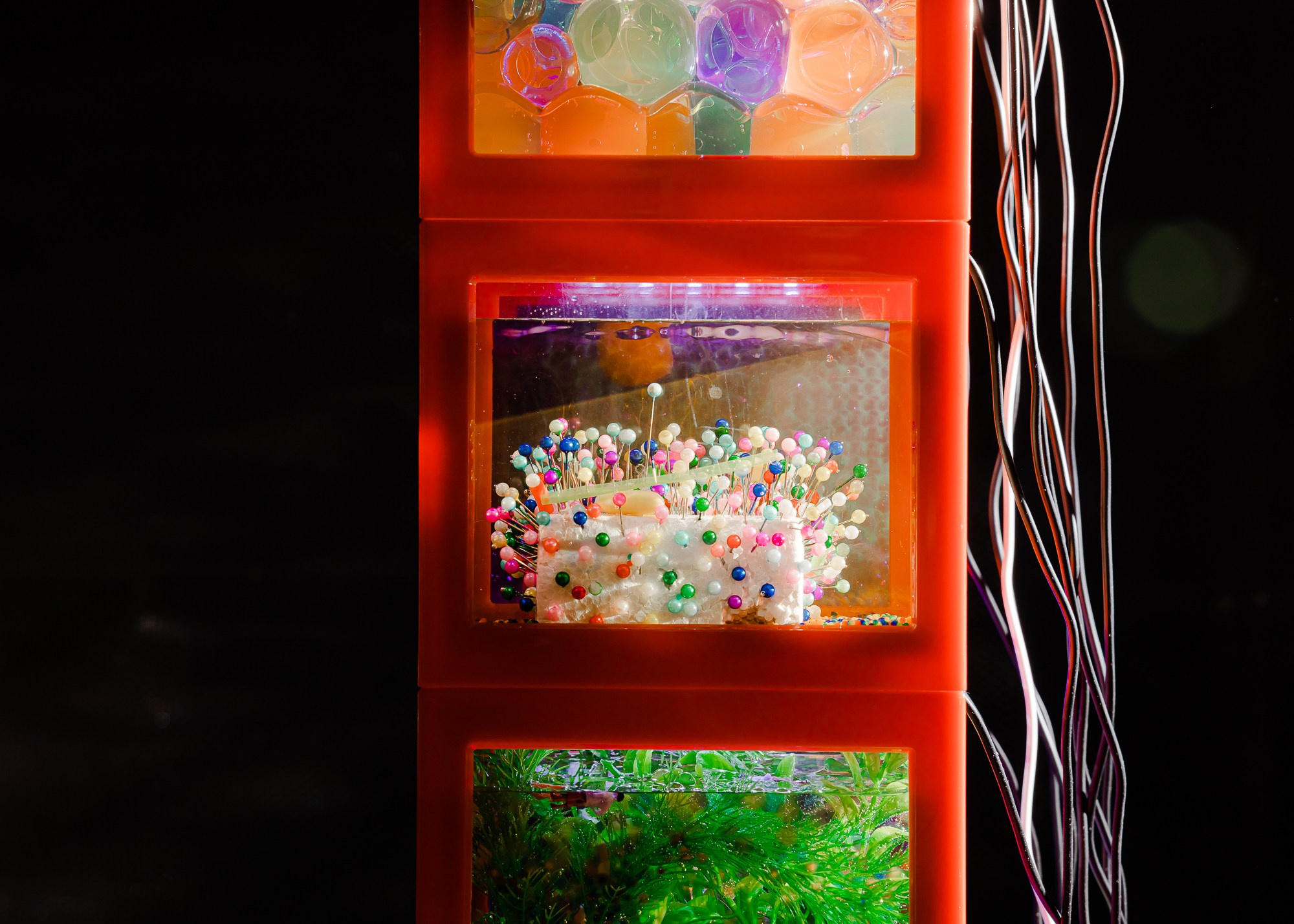 Выставка Город-Сад