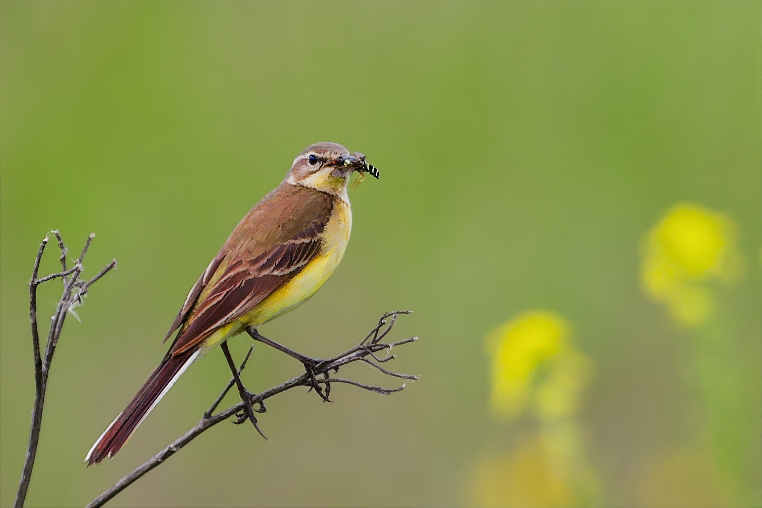ПРИРОДА. Слепки времени. Фотографии природы и событий. Москва. Сергей Аллагулов
