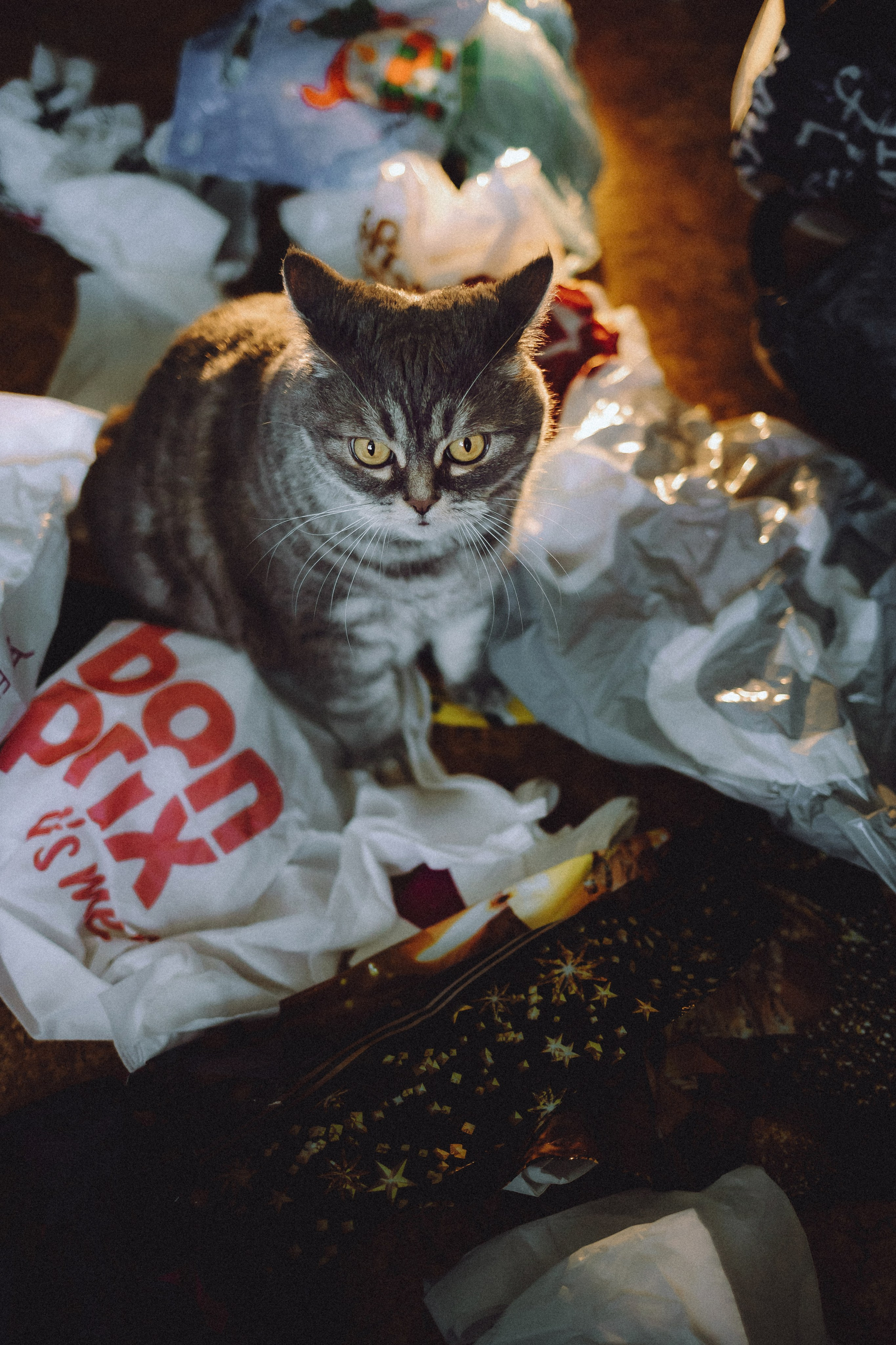 Яся и ее семья