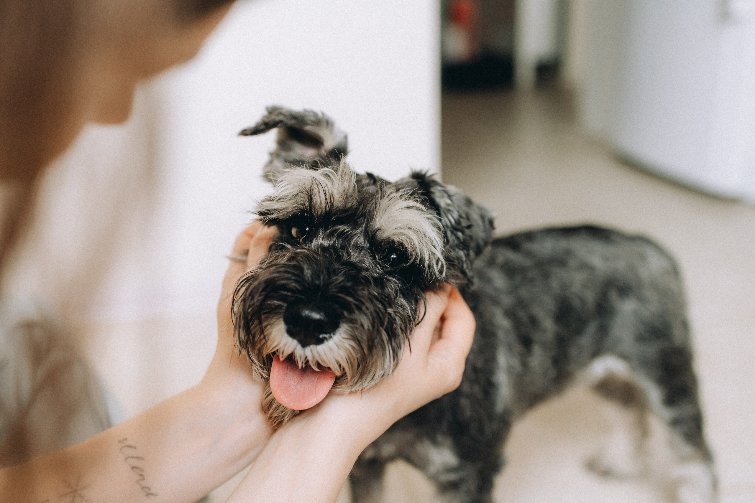 Лена и Зефир