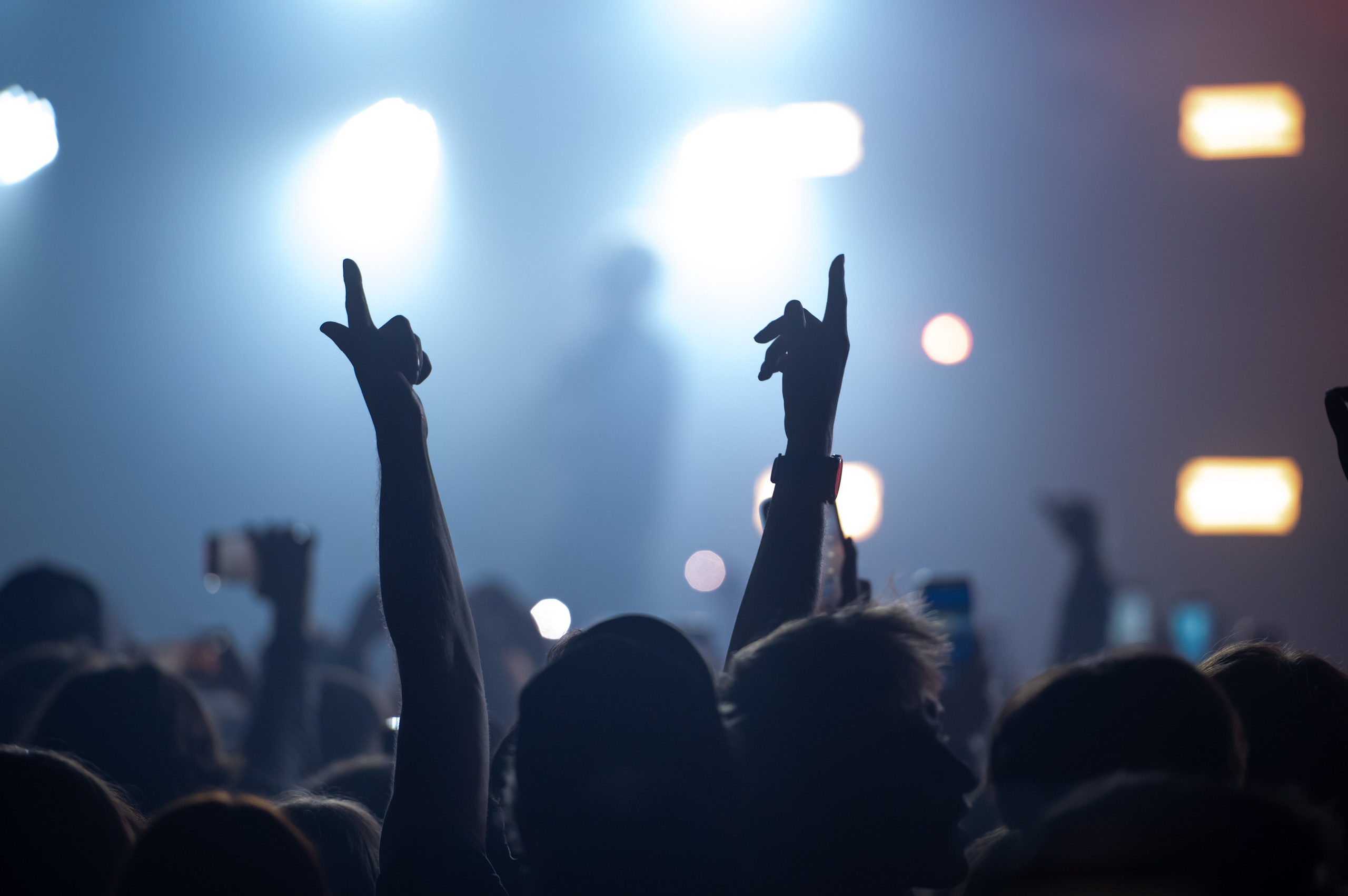 Pharaon. Royal Park. Фотограф в Калининграде Роман Большаков