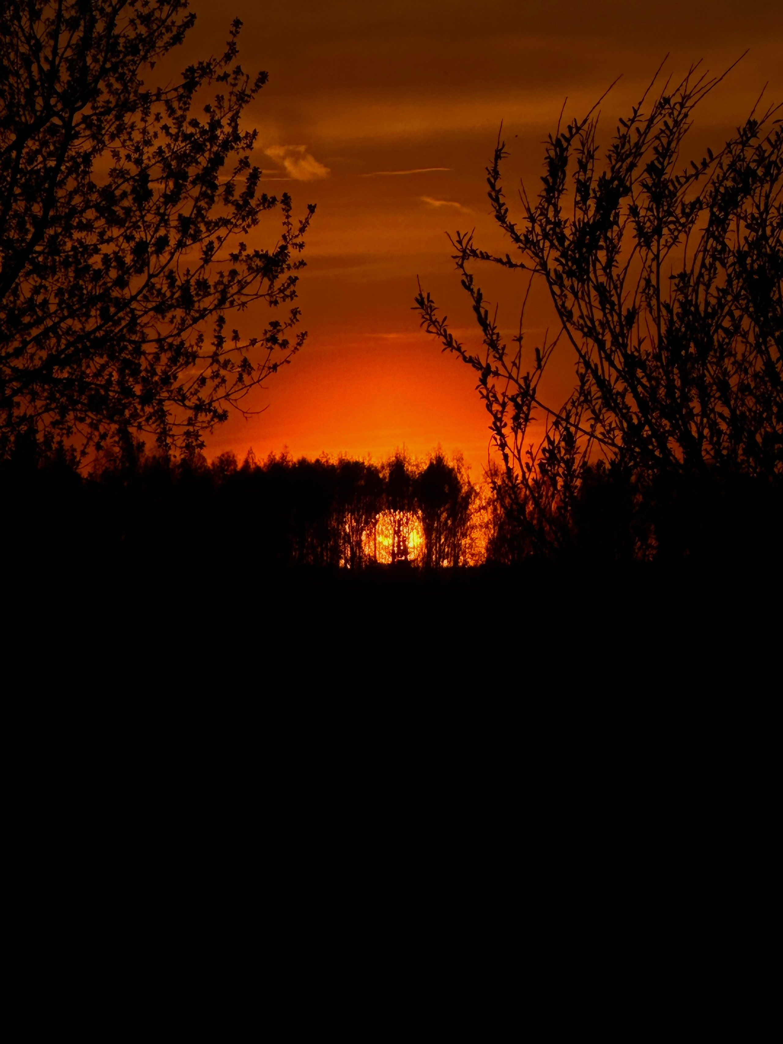 EXHIBITION. Репортажный и интерьерный фотограф, фотохудожник