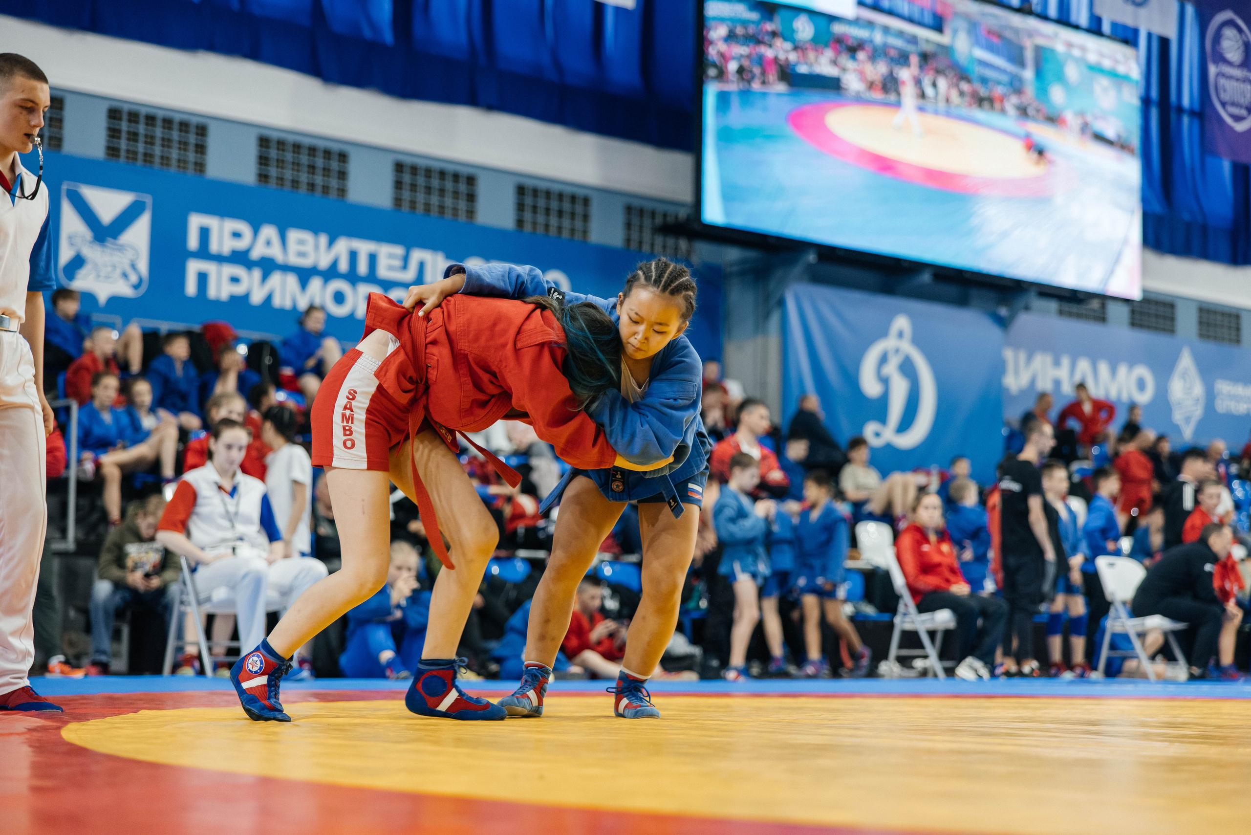 Sambo Championship. Maxim Tsoy Photography
