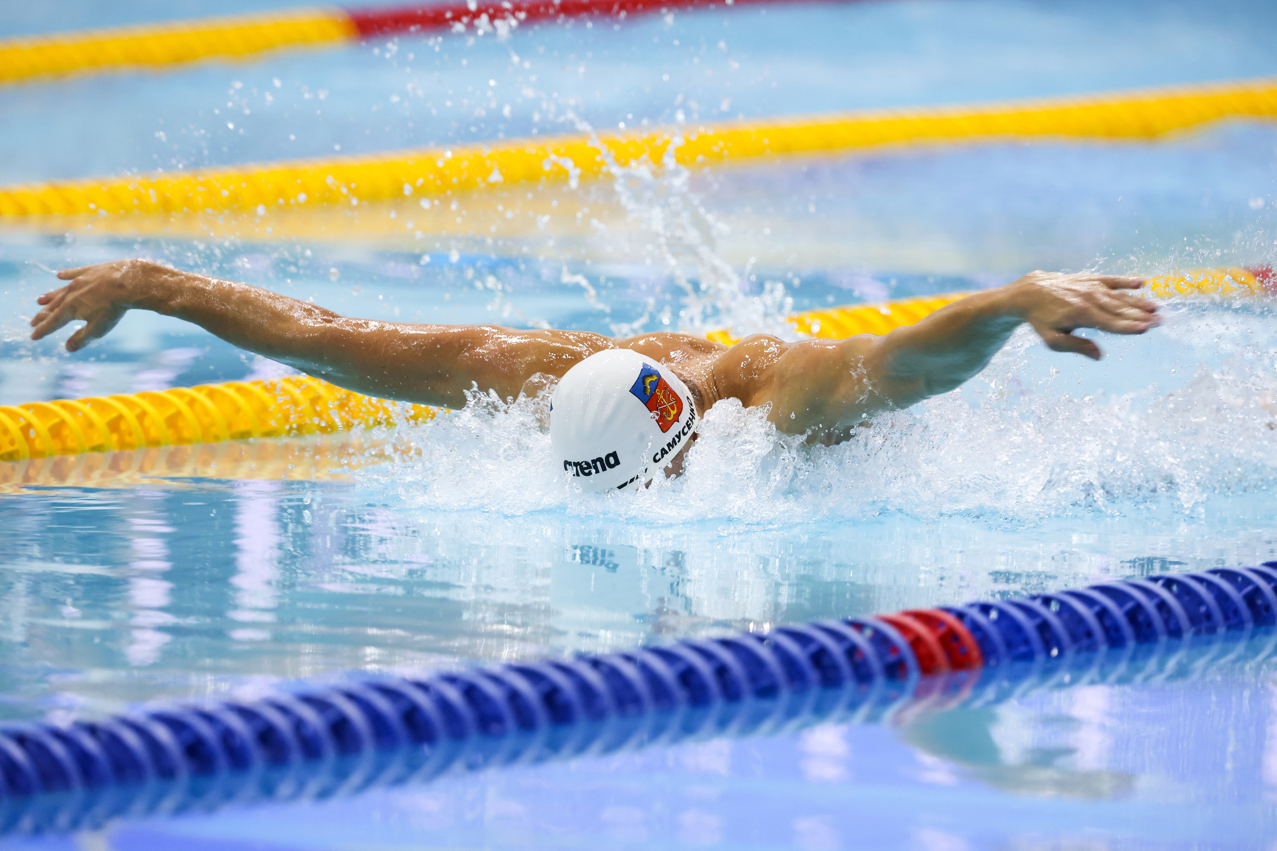 Чемпионат России по плаванию 25 м 21-26.11.2024. Спортивный и репортажный фотограф Антон Тереханов