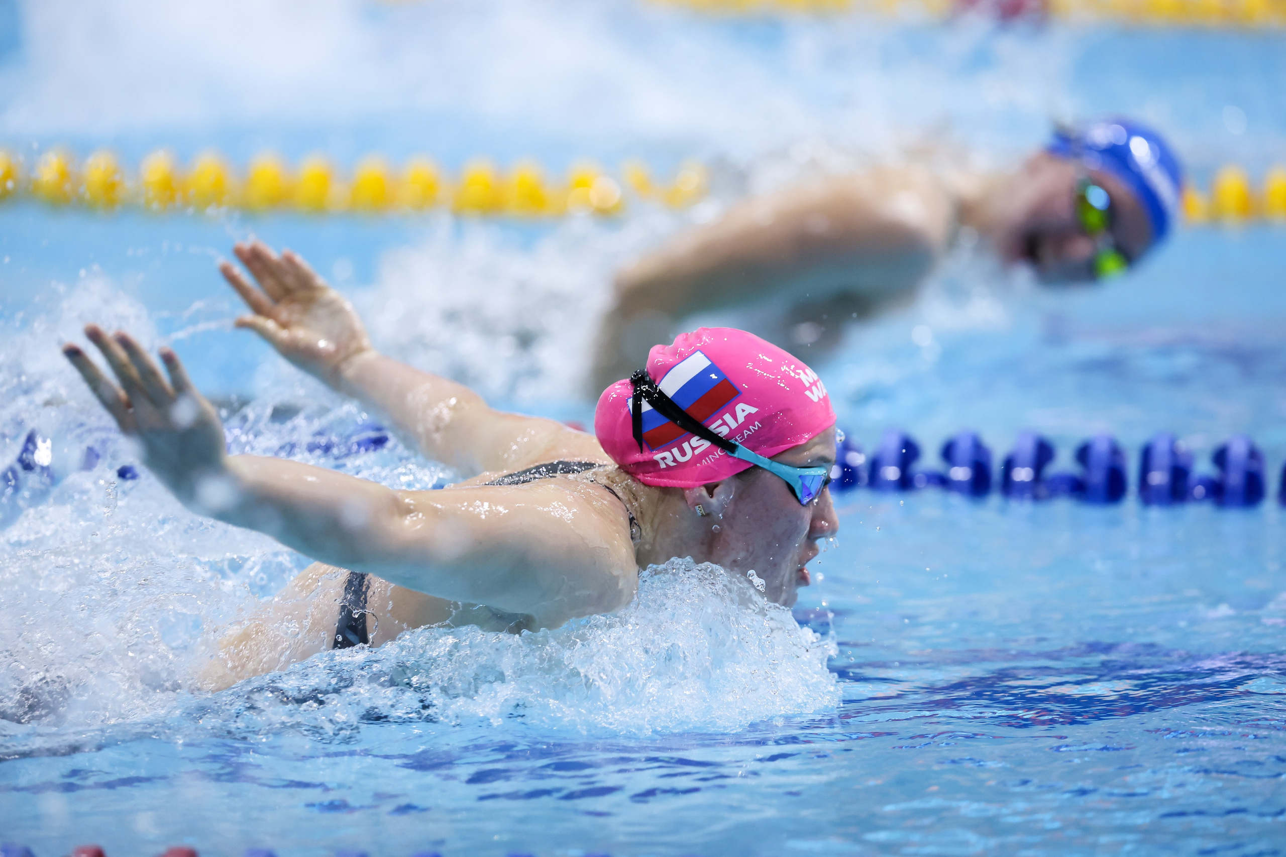 Чемпионат России по плаванию 25 м 21-26.11.2024. Спортивный и репортажный фотограф Антон Тереханов