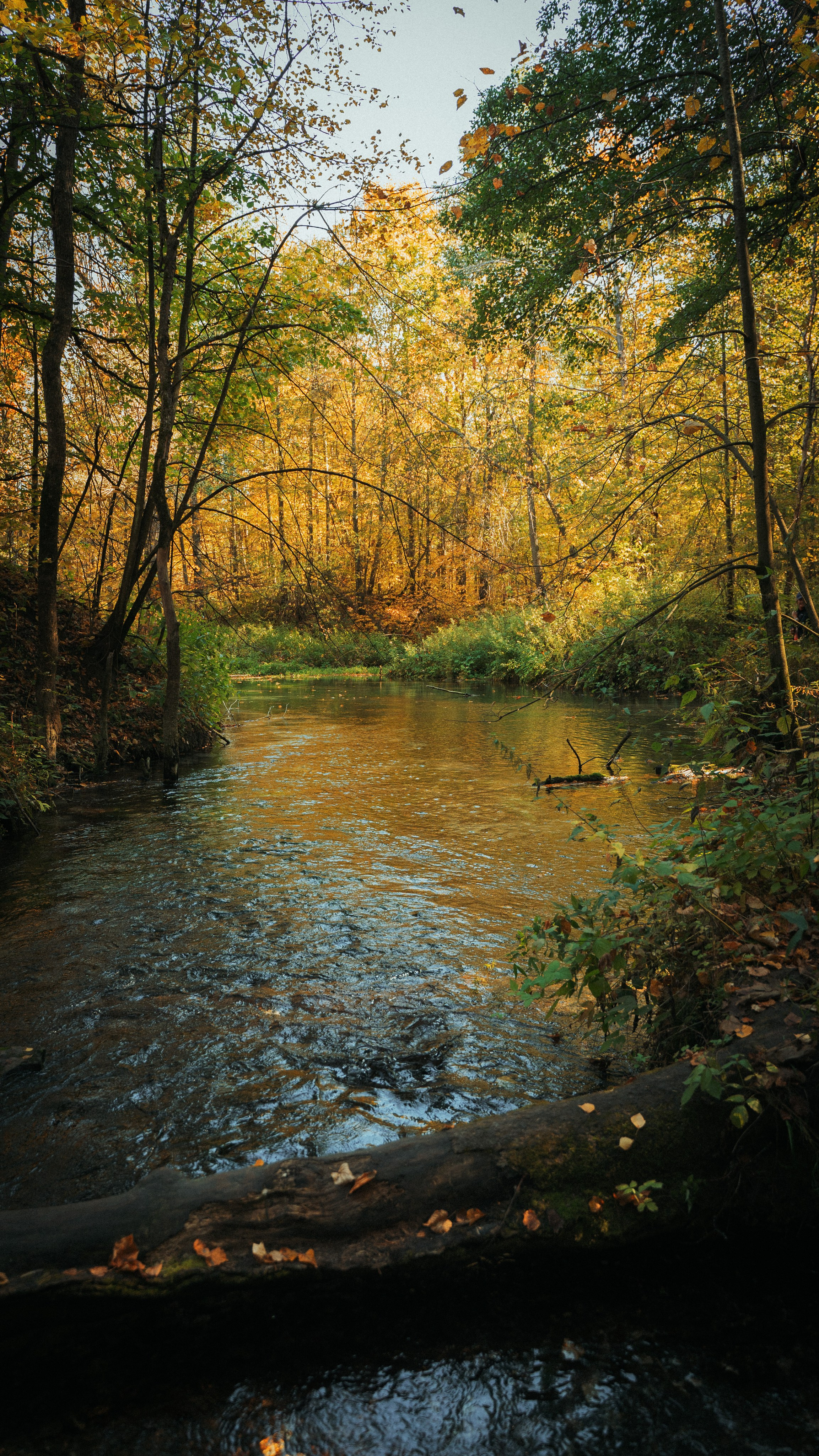 Good Friends Trip / команда локальных путешествий. Саша Копылов, фотограф в Казани