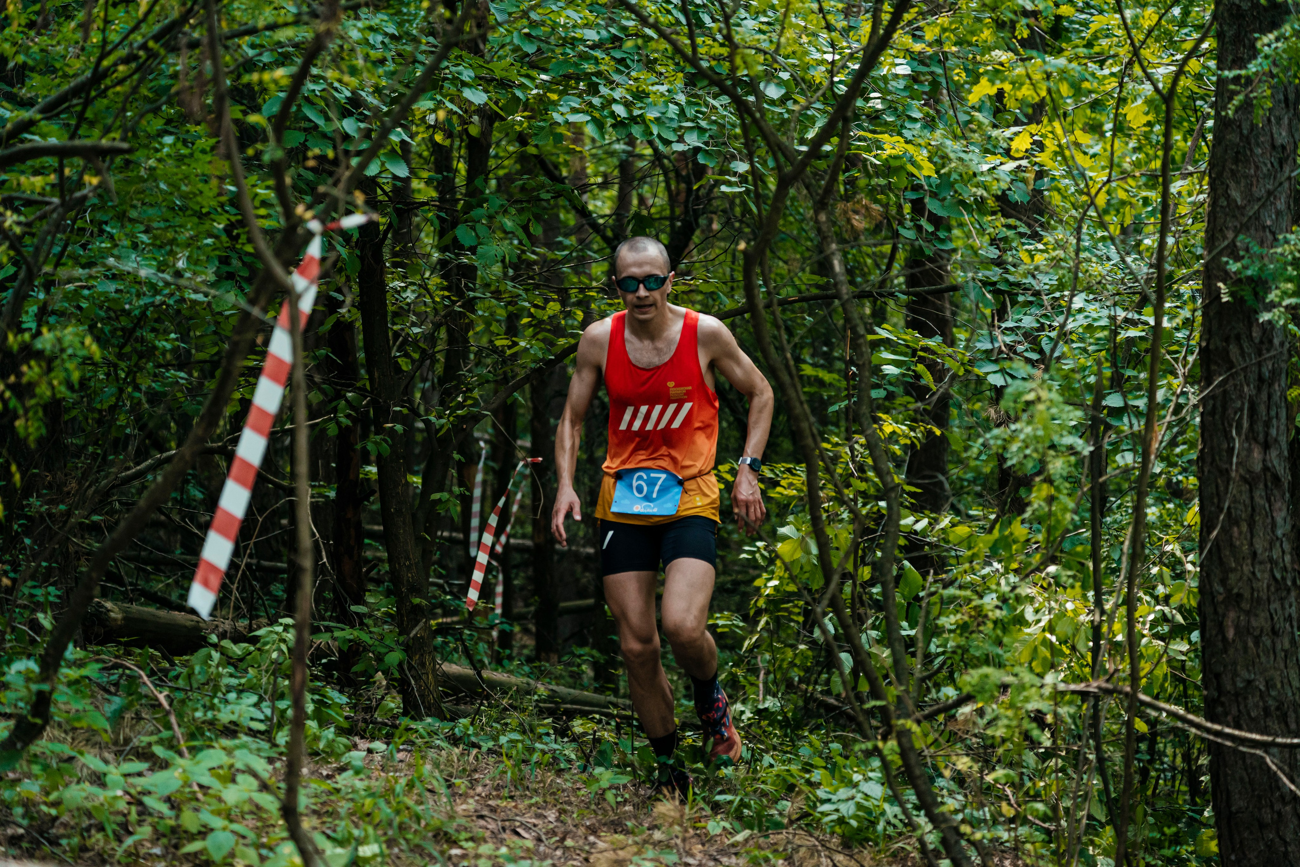 Спорт. Главная