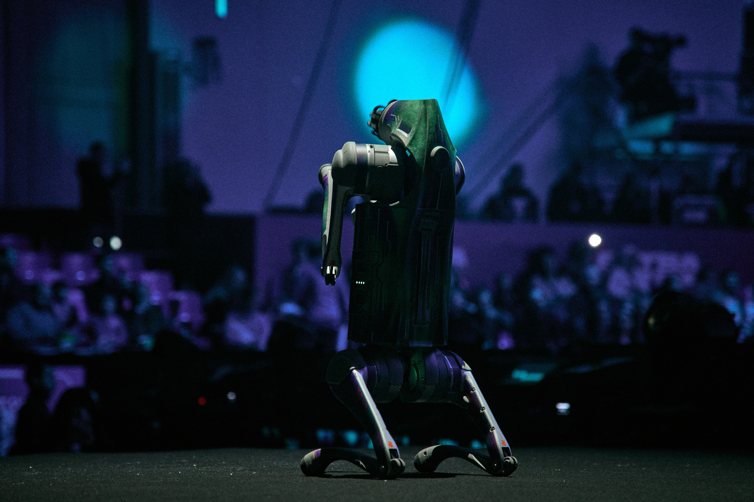 БИТВА РОБОТОВ / ФИНАЛ 2025. Фотограф мероприятий / Ваши воспоминания — Моя забота