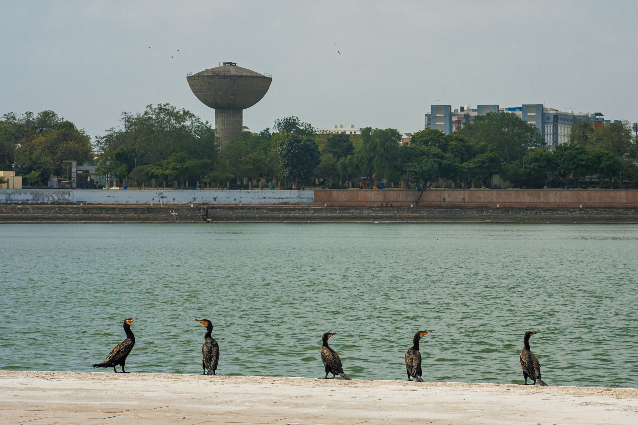 Пейзаж Индии с полями и деревнями, документальная фотография