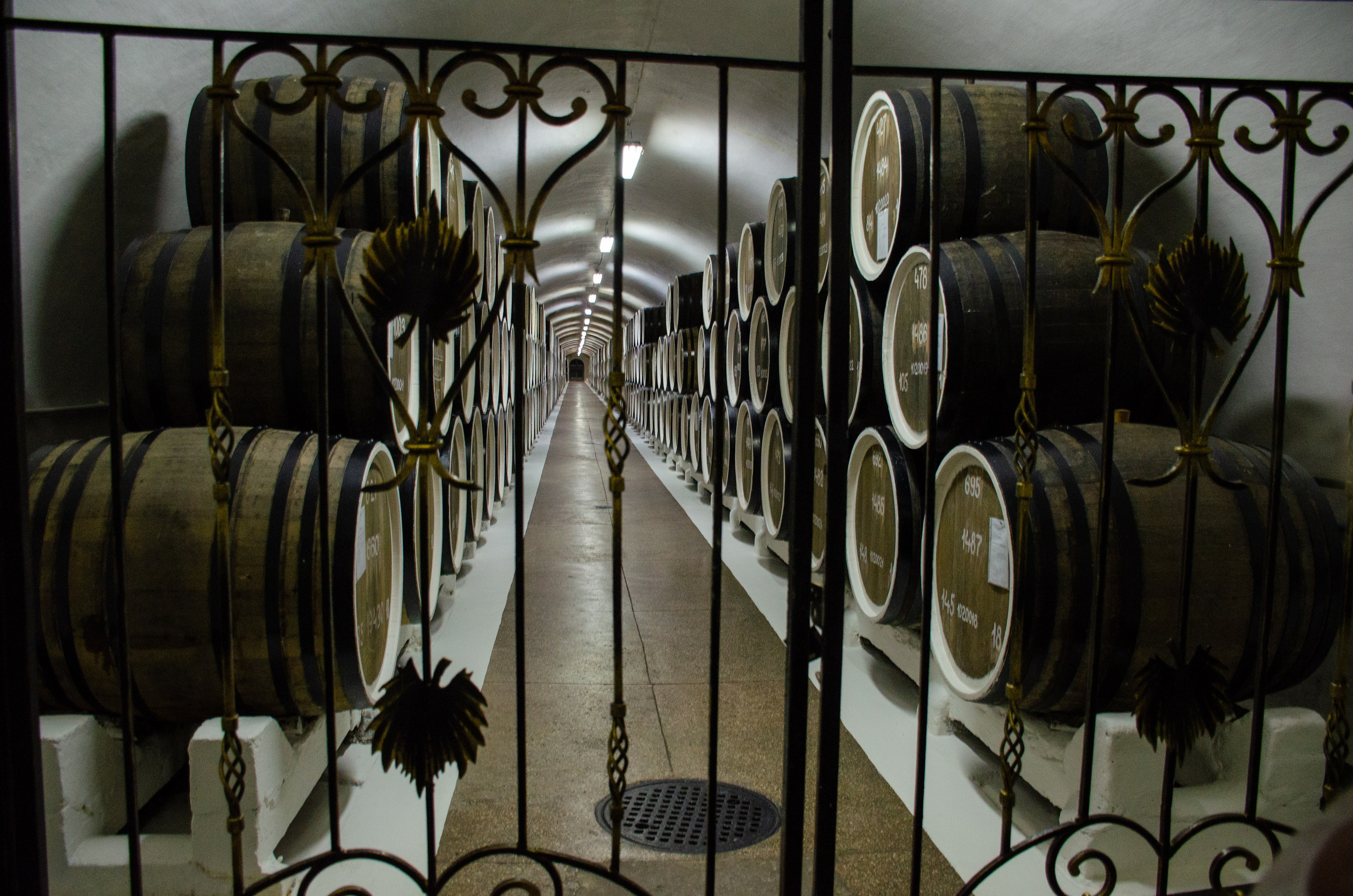 Путешествия. Фотограф и ретушер Самохвалова Ольга