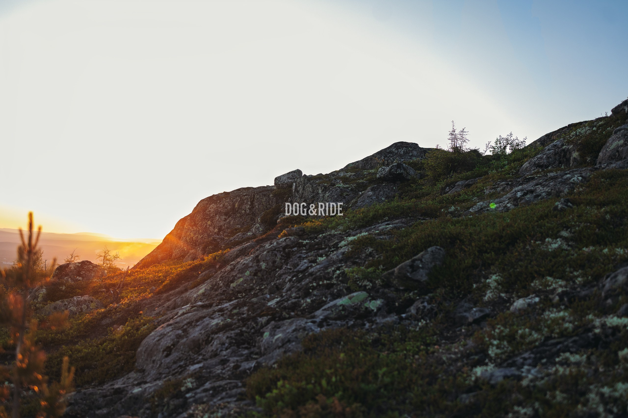 Кандалакшка. Фотограф анималист Никита Натальный