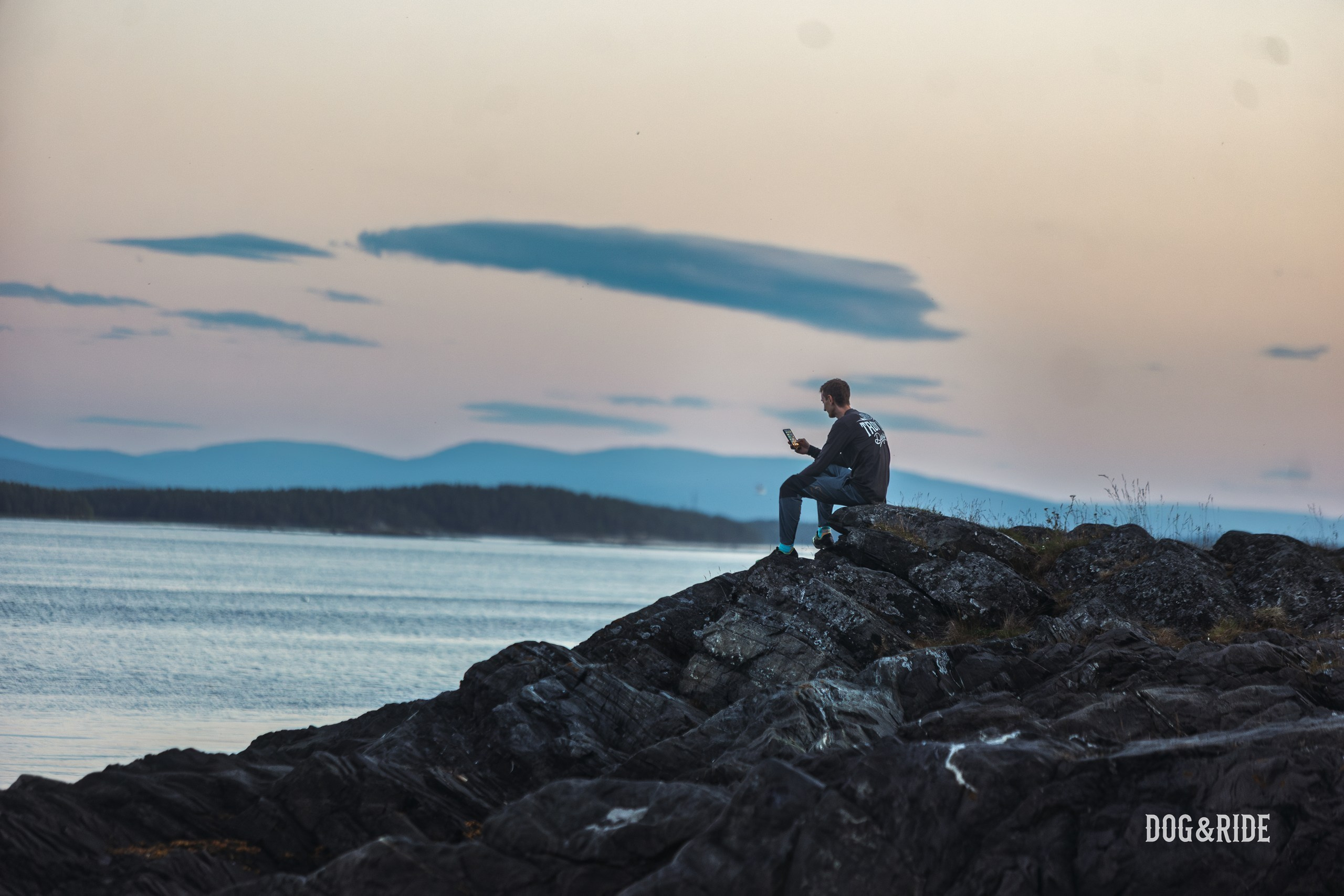 Кандалакшка. Фотограф анималист Никита Натальный
