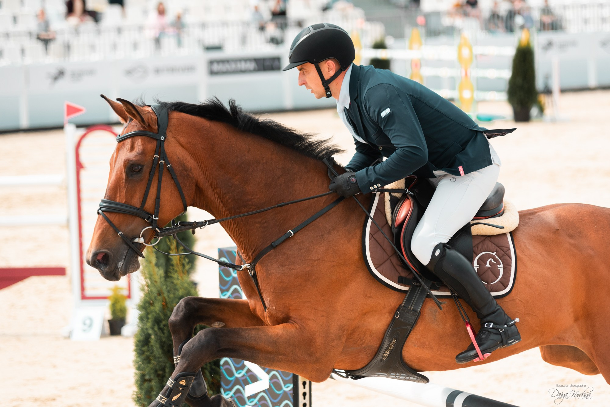 BITRIVER CUP 2023. Конный фотограф Куракина Дарья • Фотосессии с лошадьми