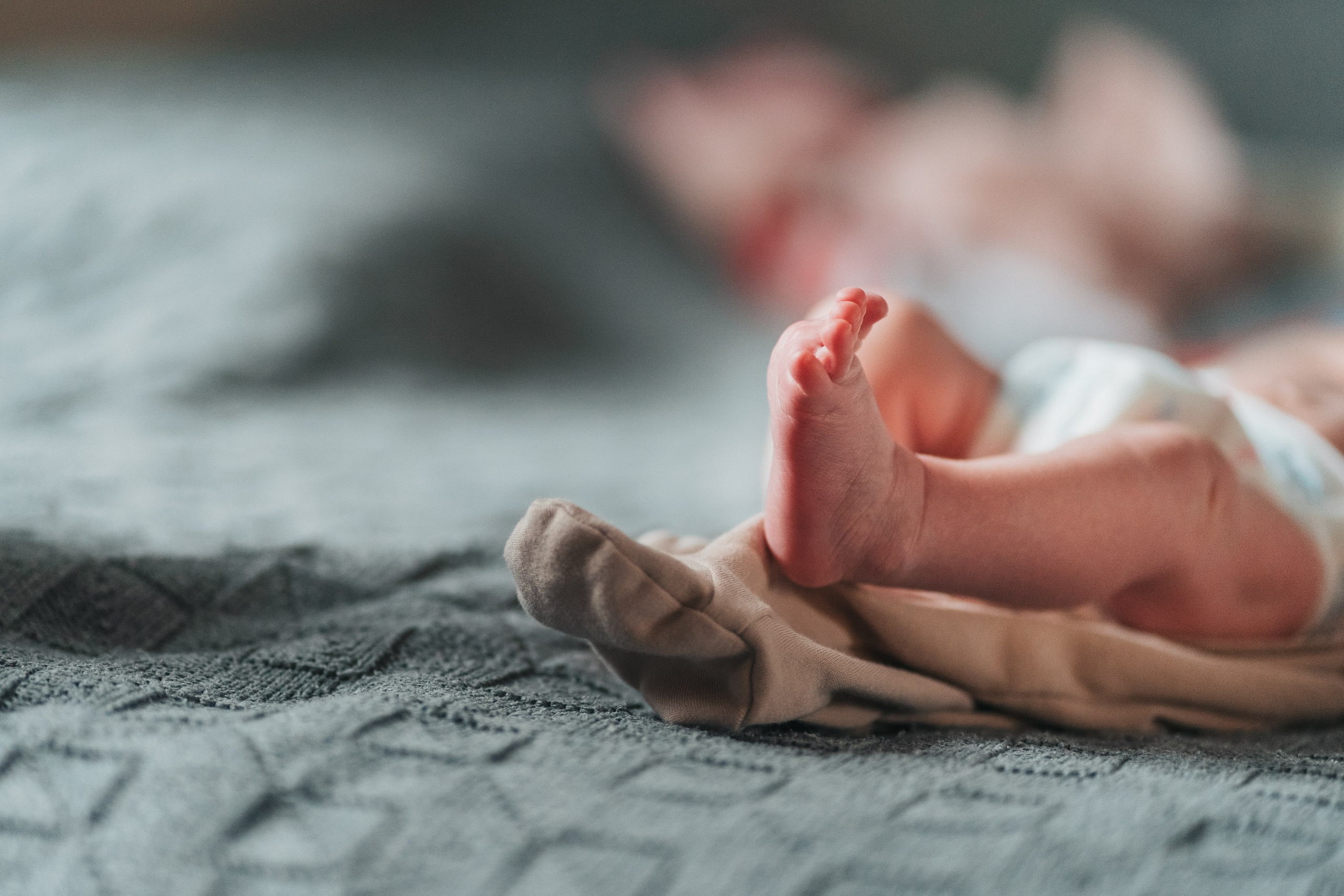 Новорожденные. Школьные альбомы и альбомы для детского сада. Юлия Осипова. Москва