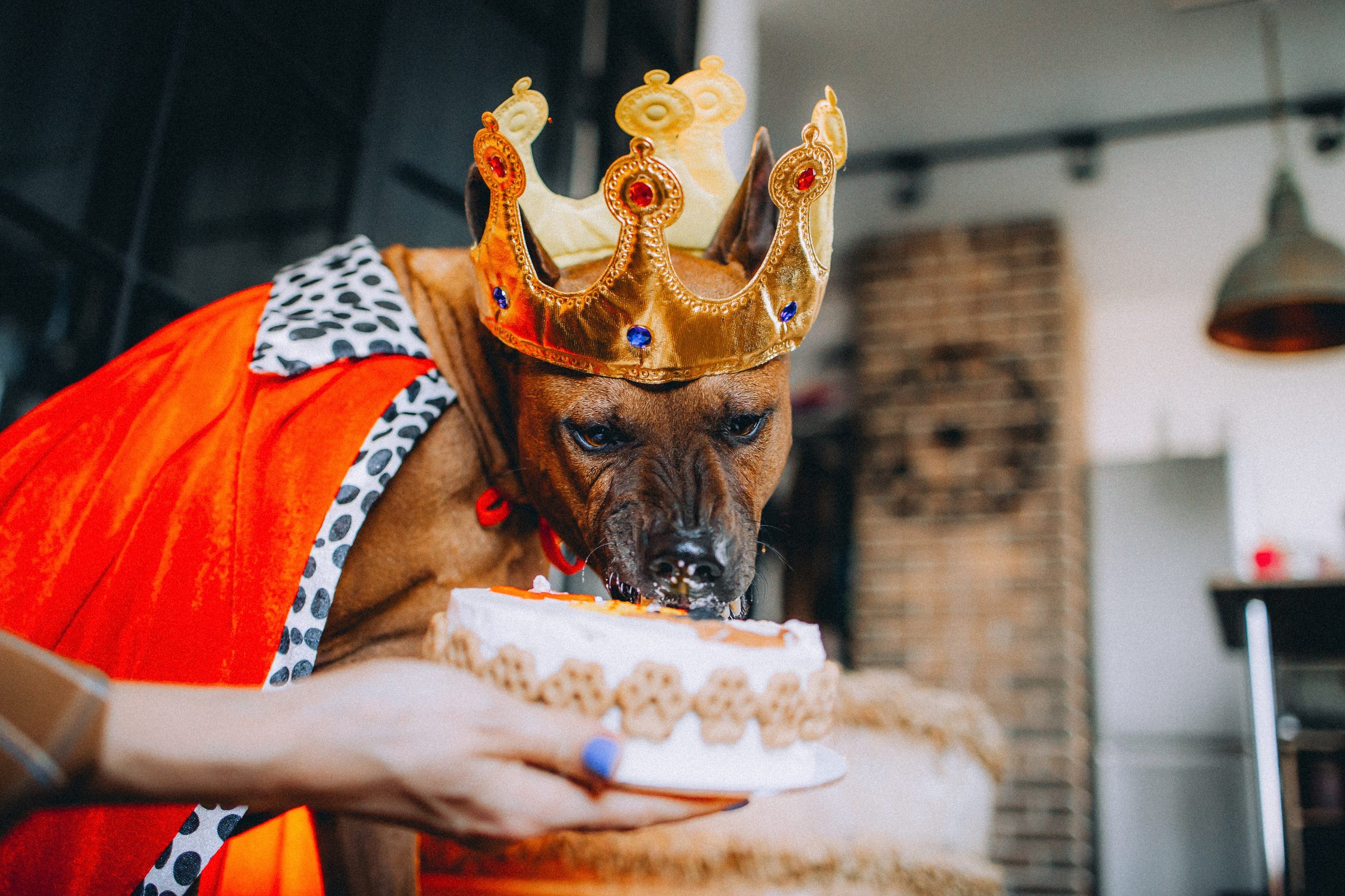 Оксана и Зевс