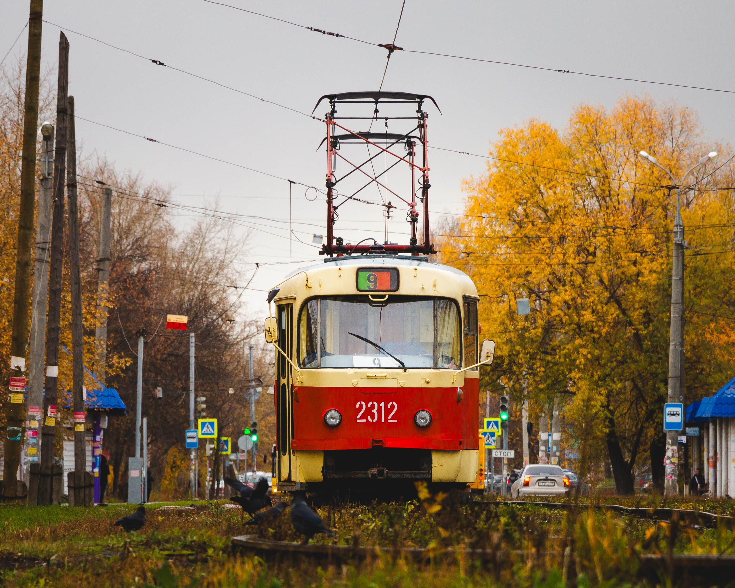 Трамваи. Олег Романов. Мастер фото по спорту