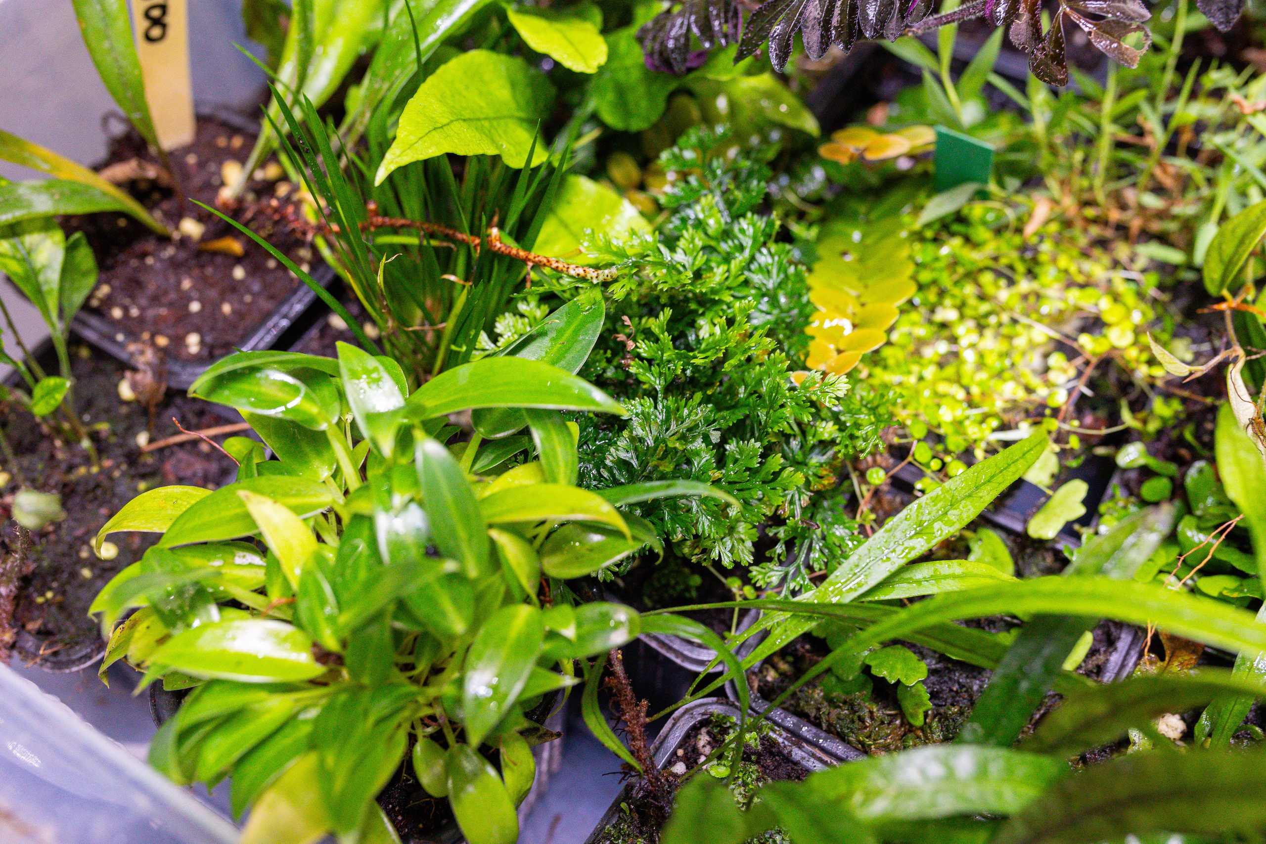 Монстериум 11–12 октября. Александра Куликова фотограф, Москва